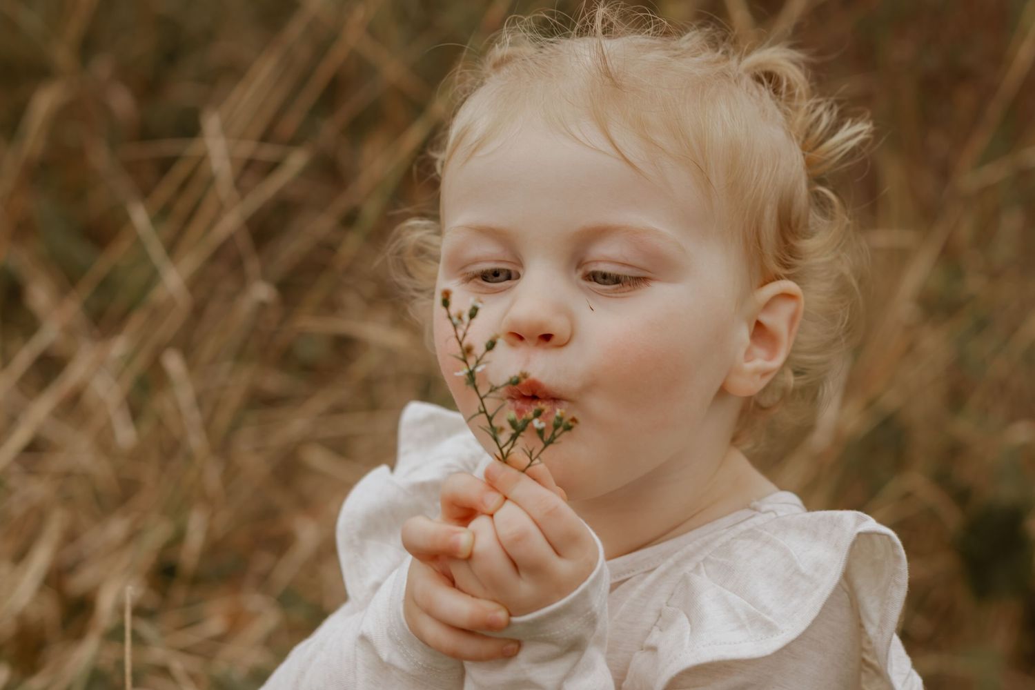 Young child in white dress blowing on delicate dandelion seeds in a golden autumn field.