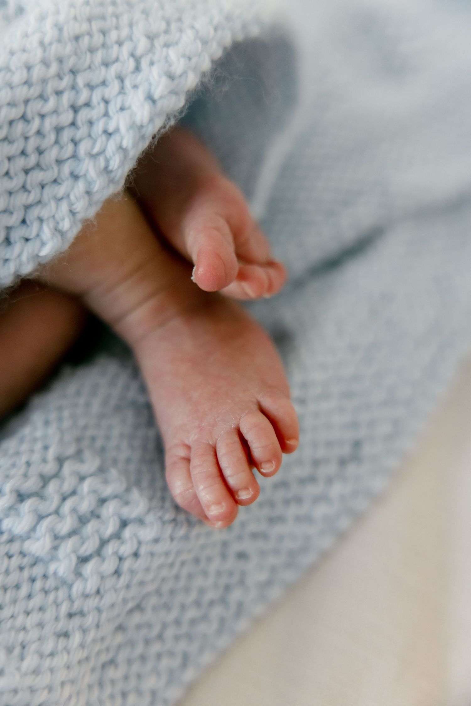 newborn photography Jacksonville, Florida