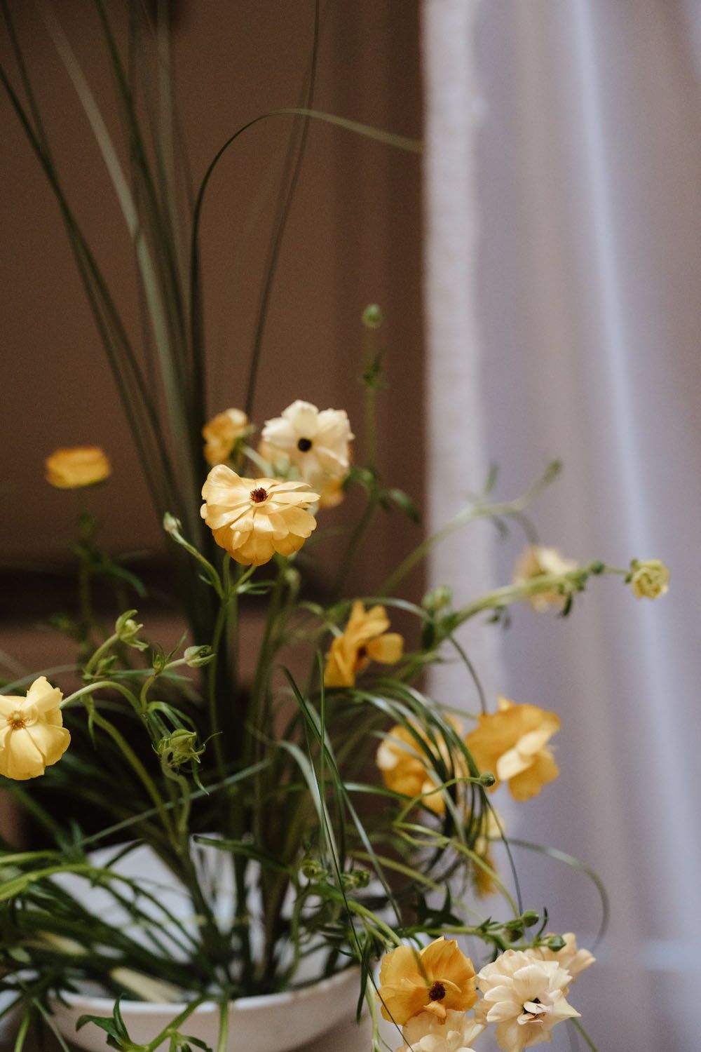 Yellow and white ranunculus flowers with green stems arranged in a white vase near a curtained window.