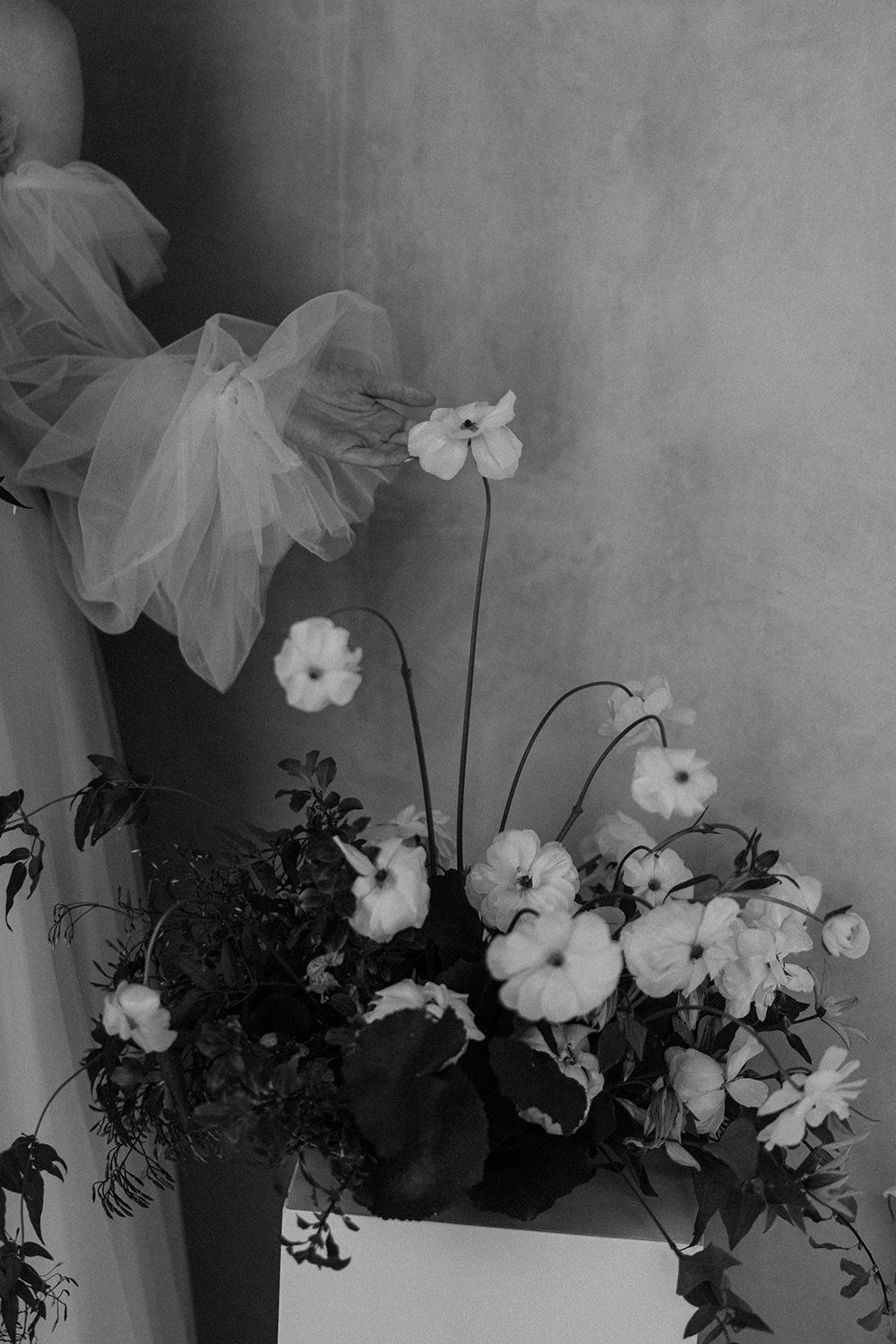 Bride holding white flower in black and white at Els Comellars.