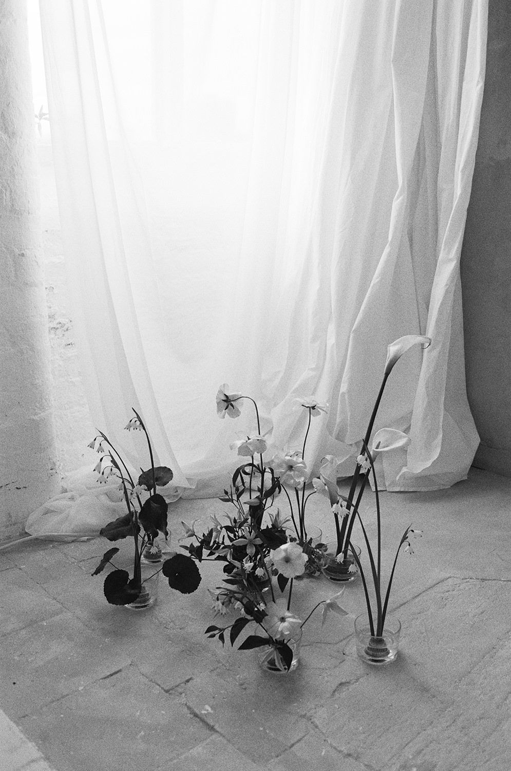 Black and white photograph of wilting flowers in vases against a white curtained backdrop and stone floor.