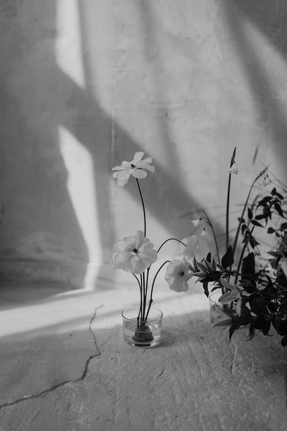 Black and white image of flowers in a vase on a textured wall.