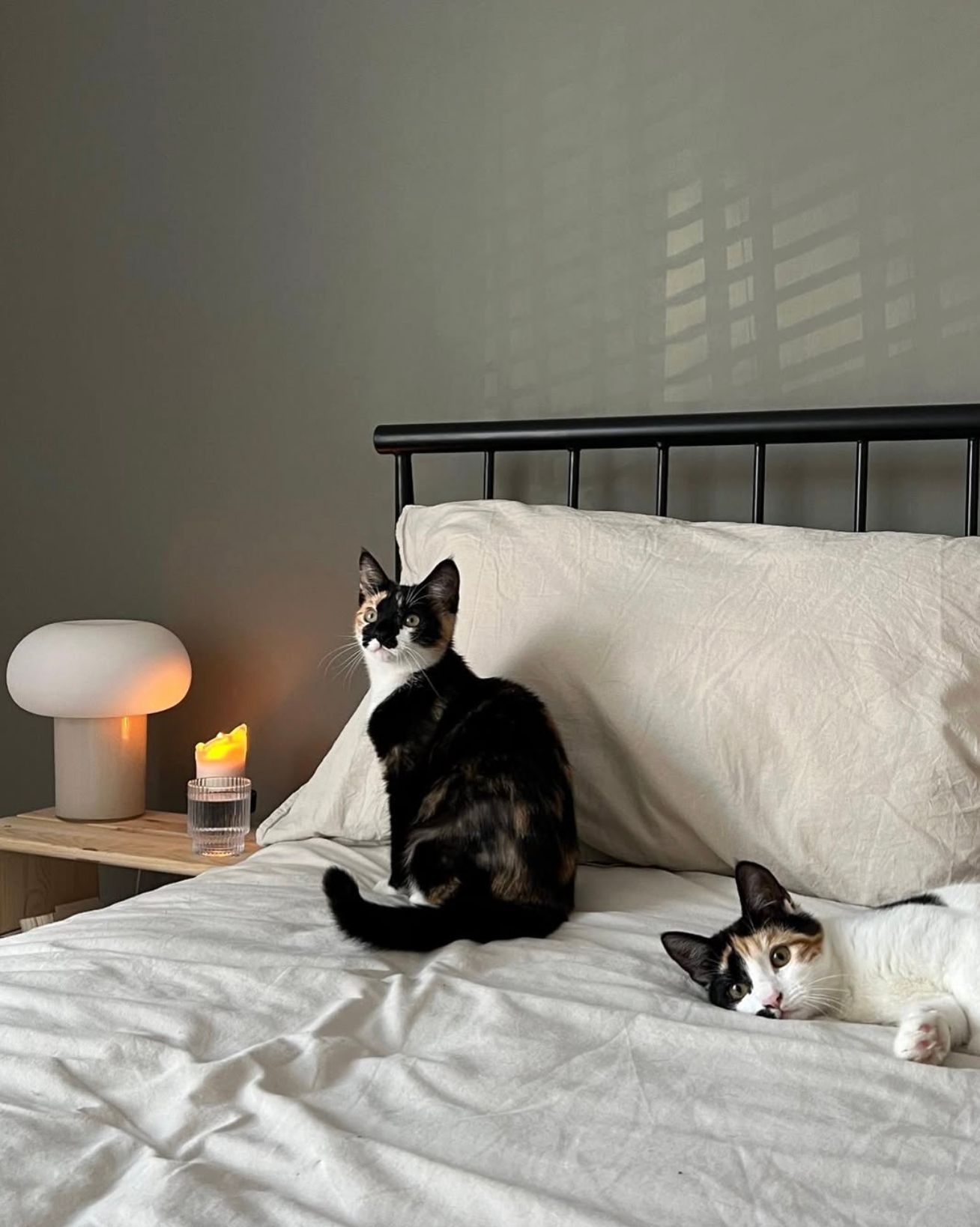 Two cats resting on white bed beside glowing mushroom lamp on nightstand.