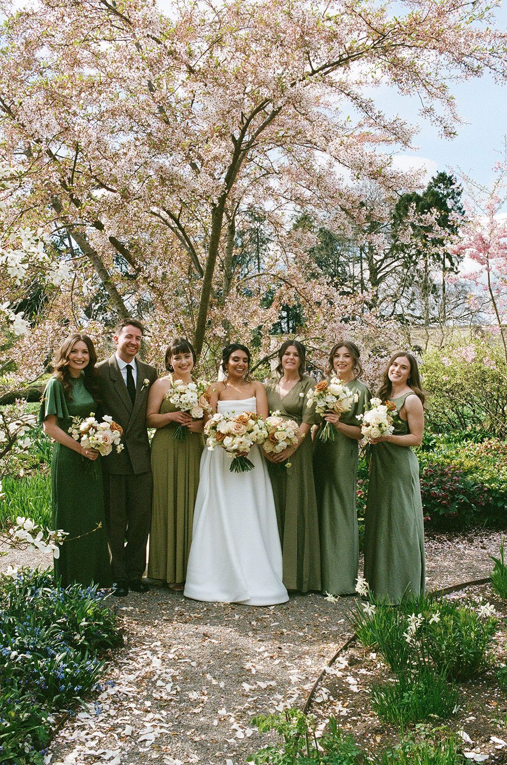 Wedding party stands beneath blooming cherry blossoms, with bridesmaids wearing sage green dresses and holding floral bouquets.