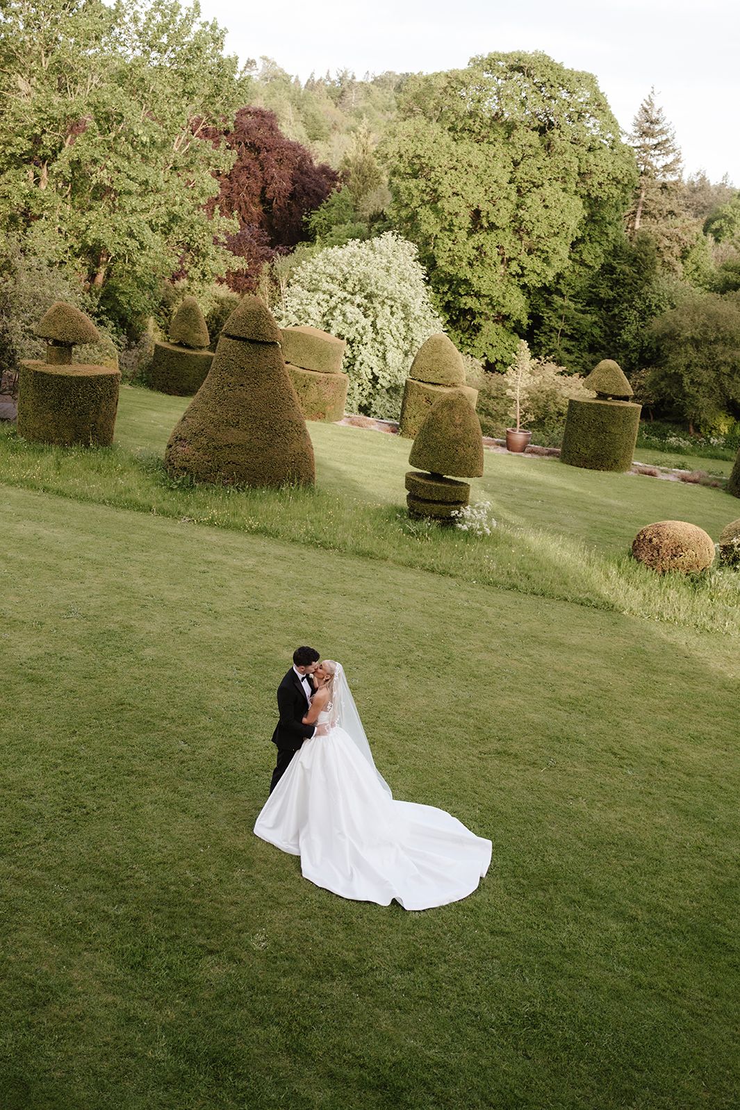 Aerial view of bride and groom embracing on lush green lawn surrounded by sculpted topiary gardens on their wedding day.
