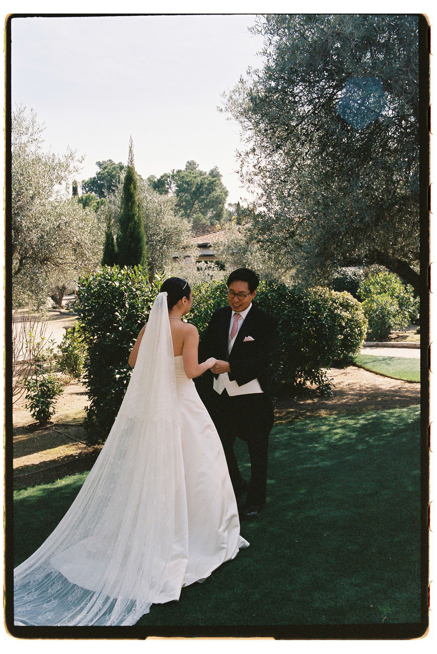 Bride and groom share a tender first look moment in a sun-drenched garden surrounded by olive trees.