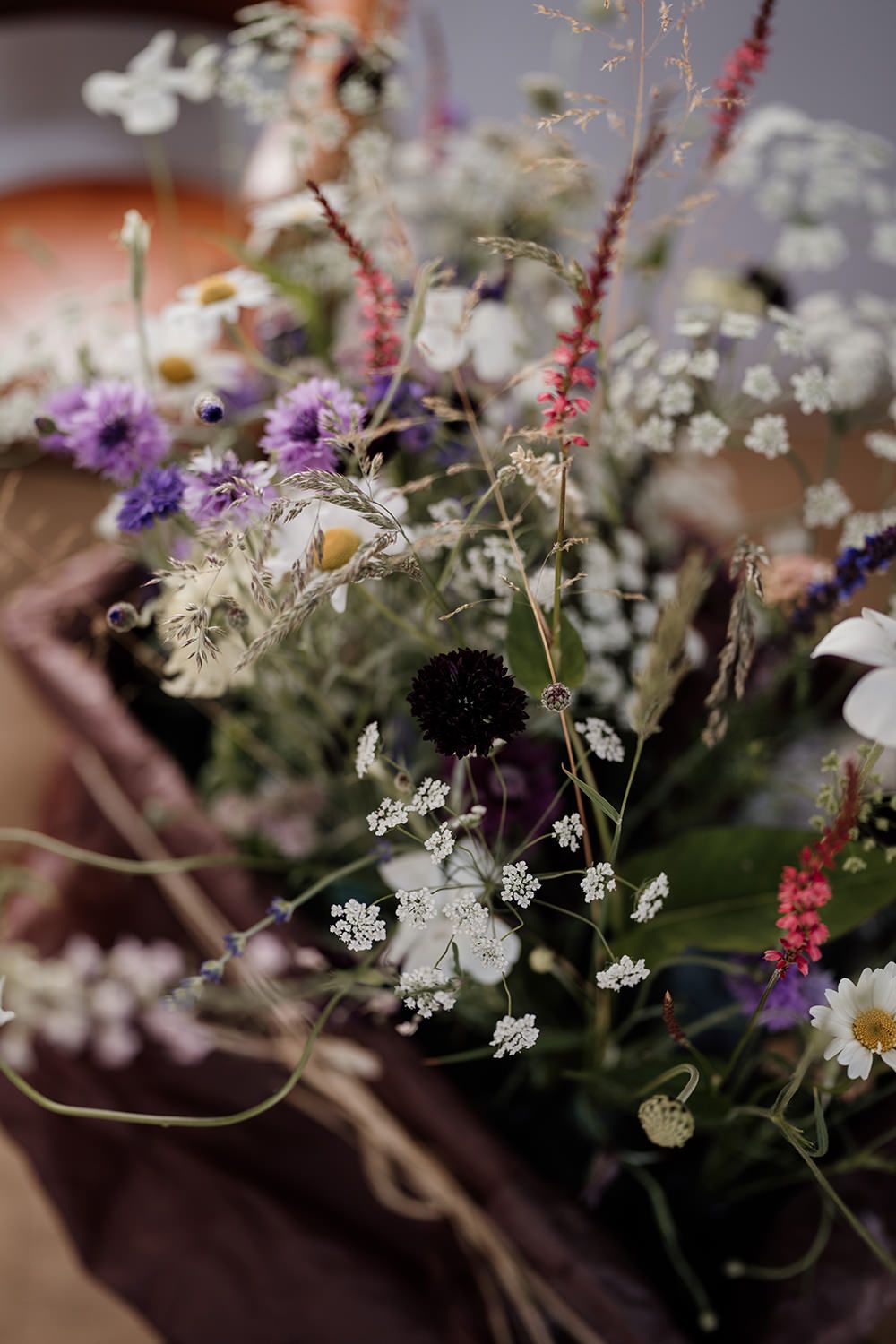 Detail of garden grown flowers with small white flowers in focus and the others in the background.