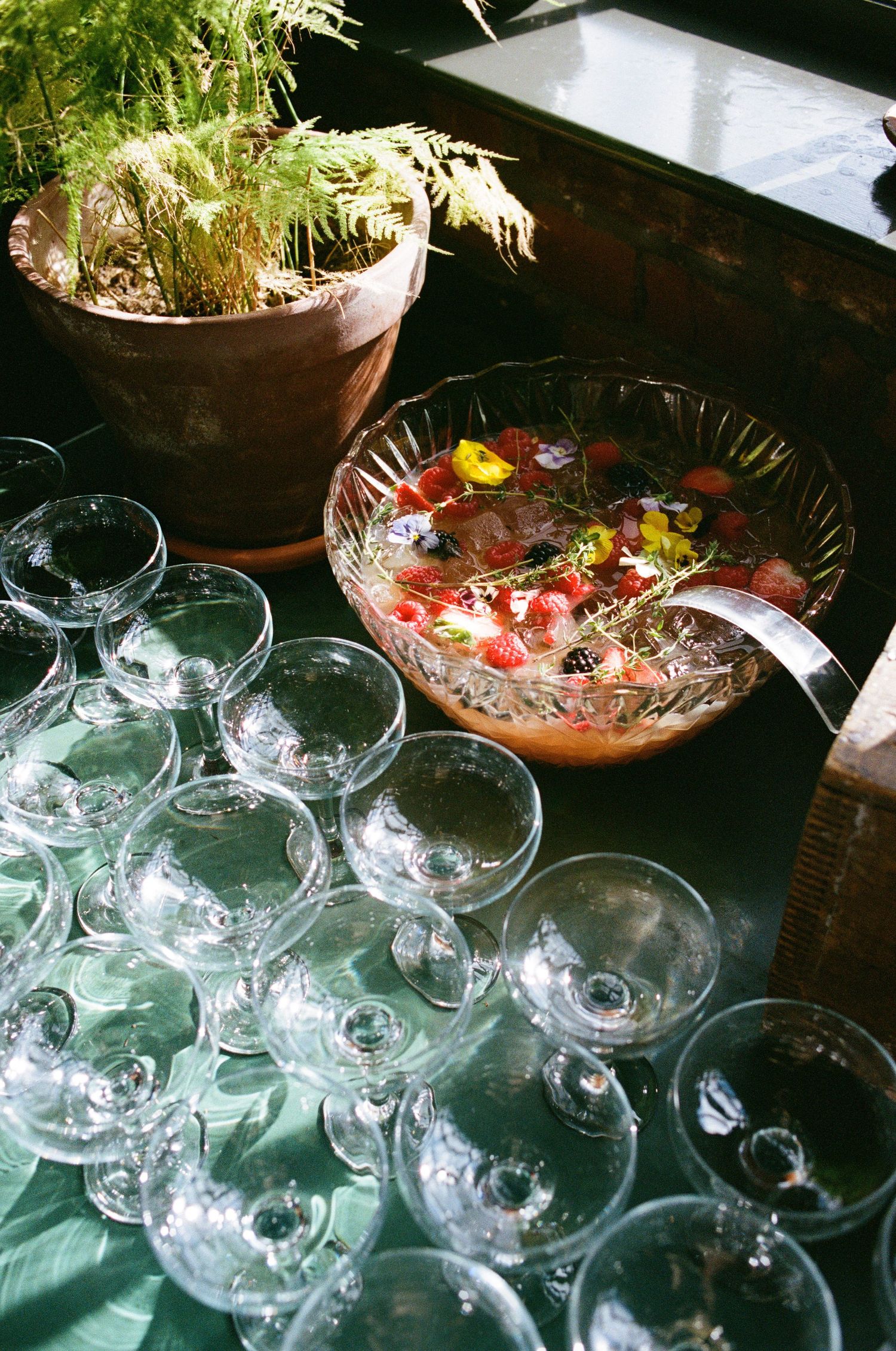 Empty wine glasses lined up near a crystal punch bowl filled with fruit and drinks, with a potted plant beside them.