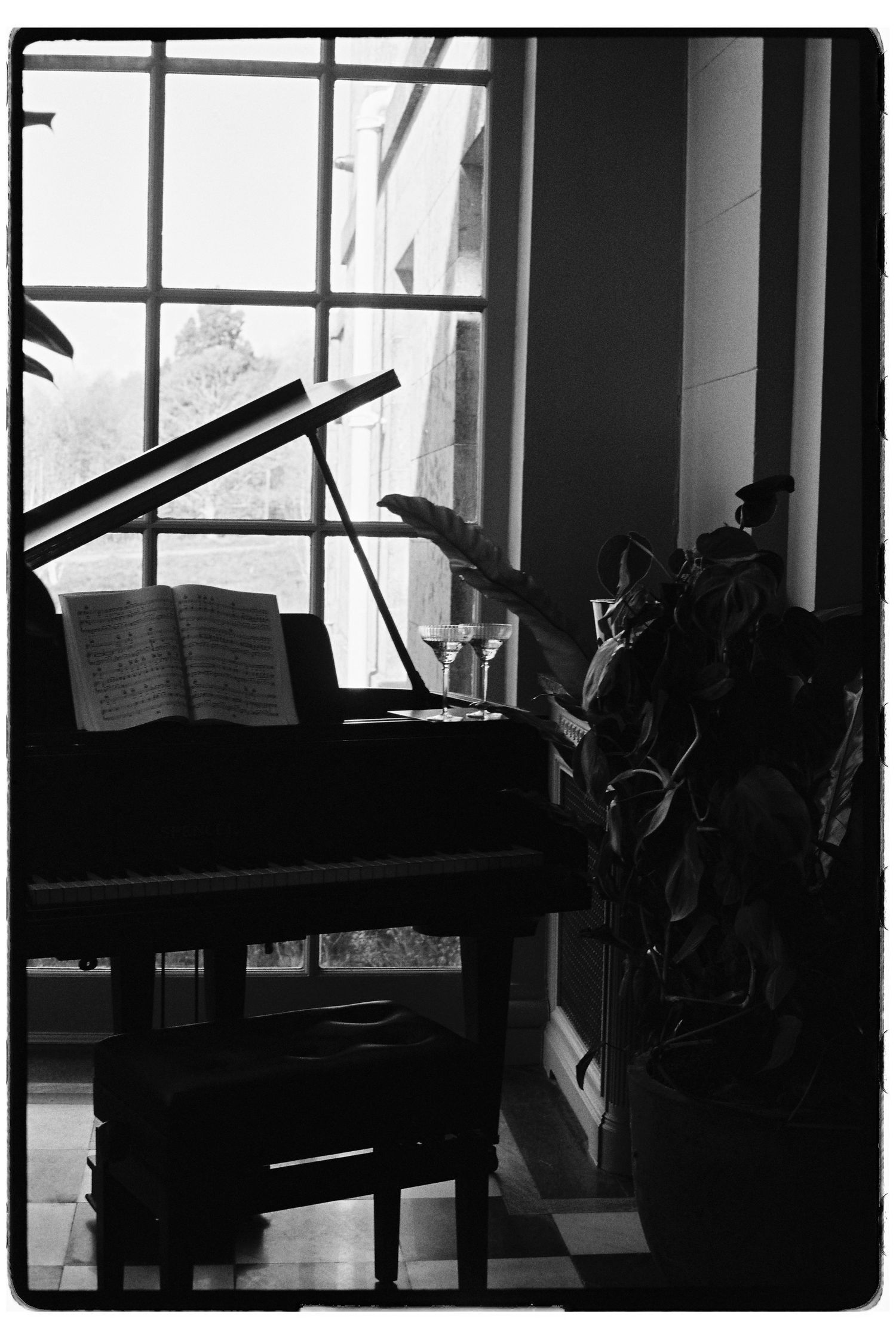 Black and white photo of a grand piano with sheet music near a large window, beside a potted plant.