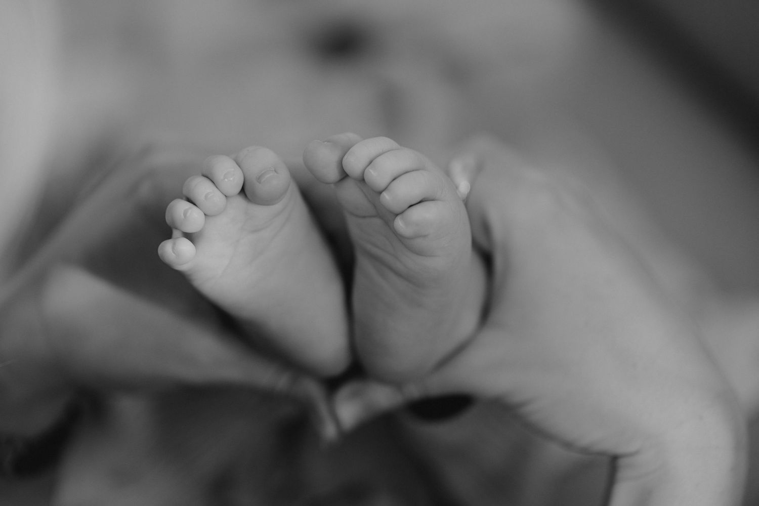 Close-up black and white photo of tiny newborn baby feet held gently by an adult hand.
