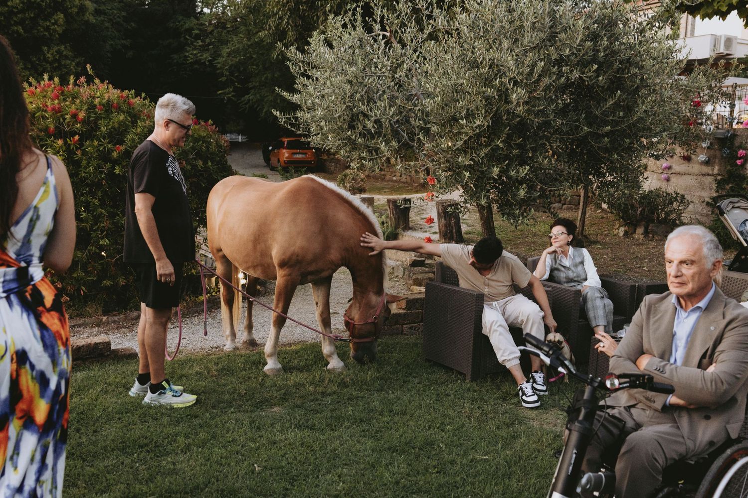 A group of people and horses gather on a grassy area during an outdoor event in natural lighting.