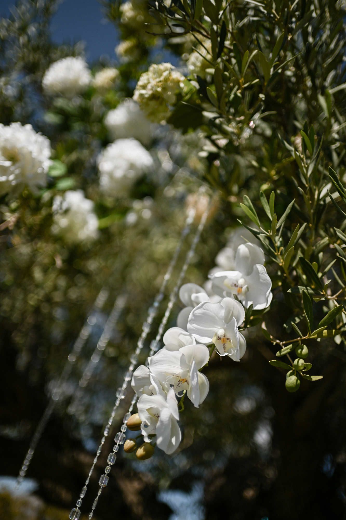 Close-up of delicate white orchids and crystal beads hanging from olive branches at a wedding