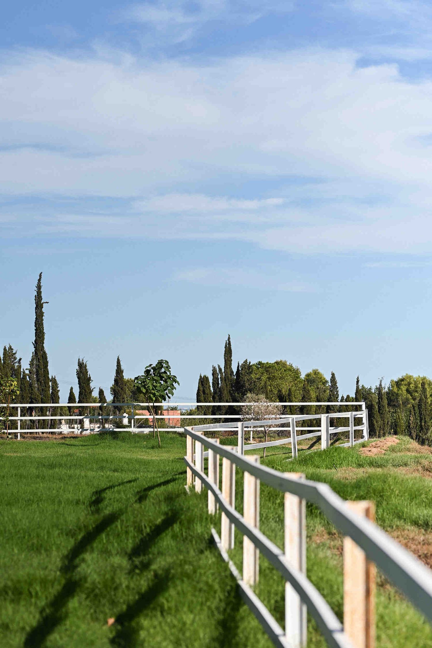 Scenic view of a white wooden fence curving along a green lawn with tall cypress trees at a Spanish estate.