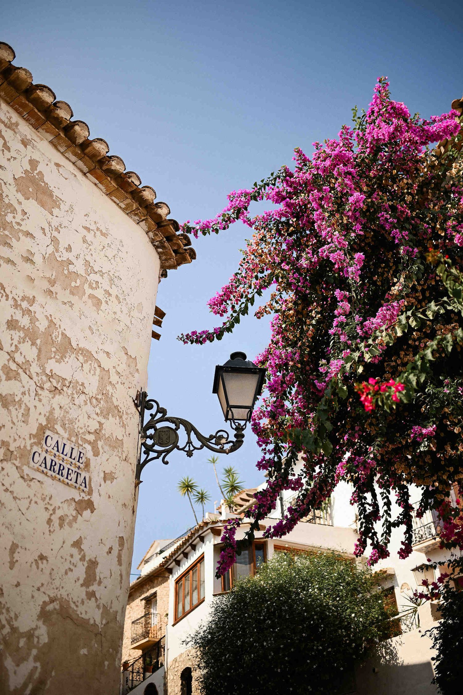 A picturesque view of Calle Careta in Altea, featuring iconic white walls and blooming greenery. Beautiful Spanish location