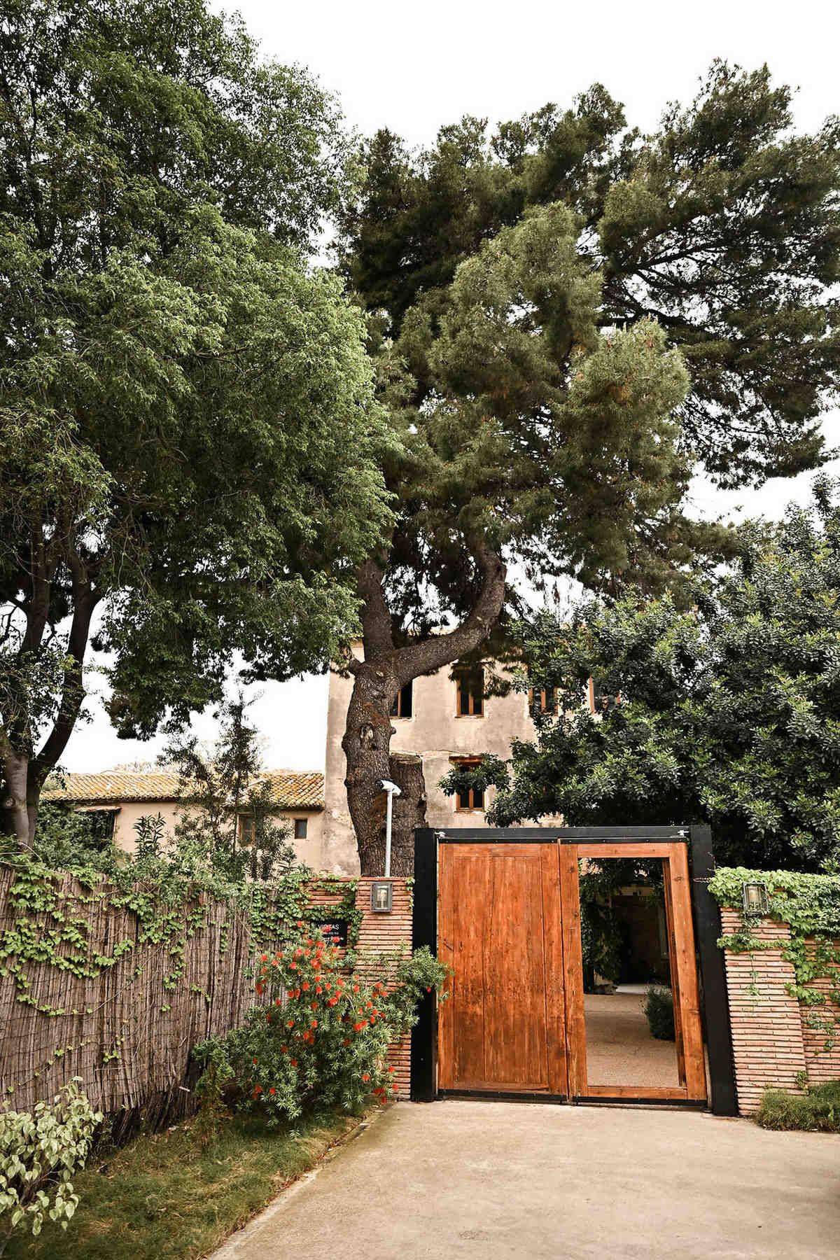 Main gates of Finca del Canónigo framed by Roman pines and ivy. Timeless destination wedding venue details captured by Darista.