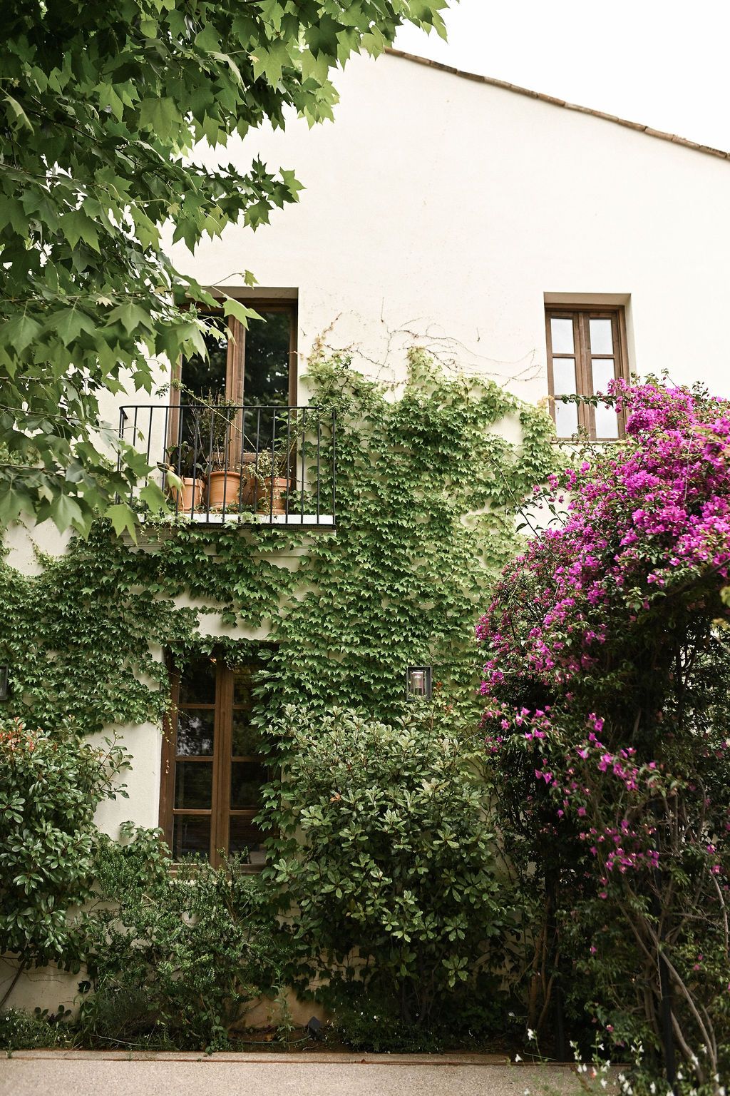 Beautiful courtyard view of Finca del Canónigo with green ivy and blooming pink flowers in the garden. Editorial wedding inspiration.