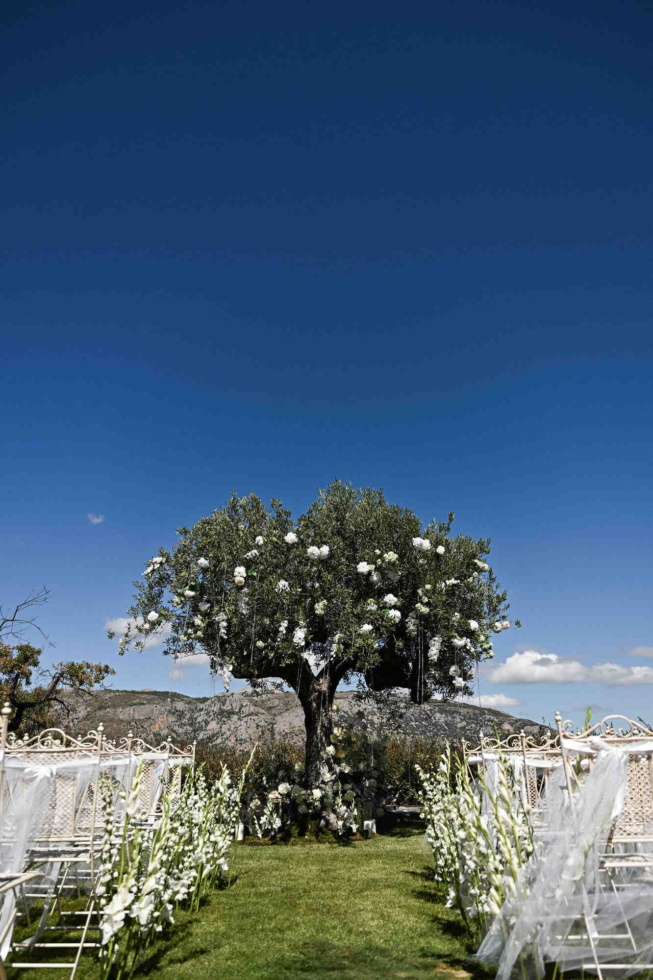 Outdoor wedding ceremony setup under a large tree decorated with white flowers in the Guadalest Valley.