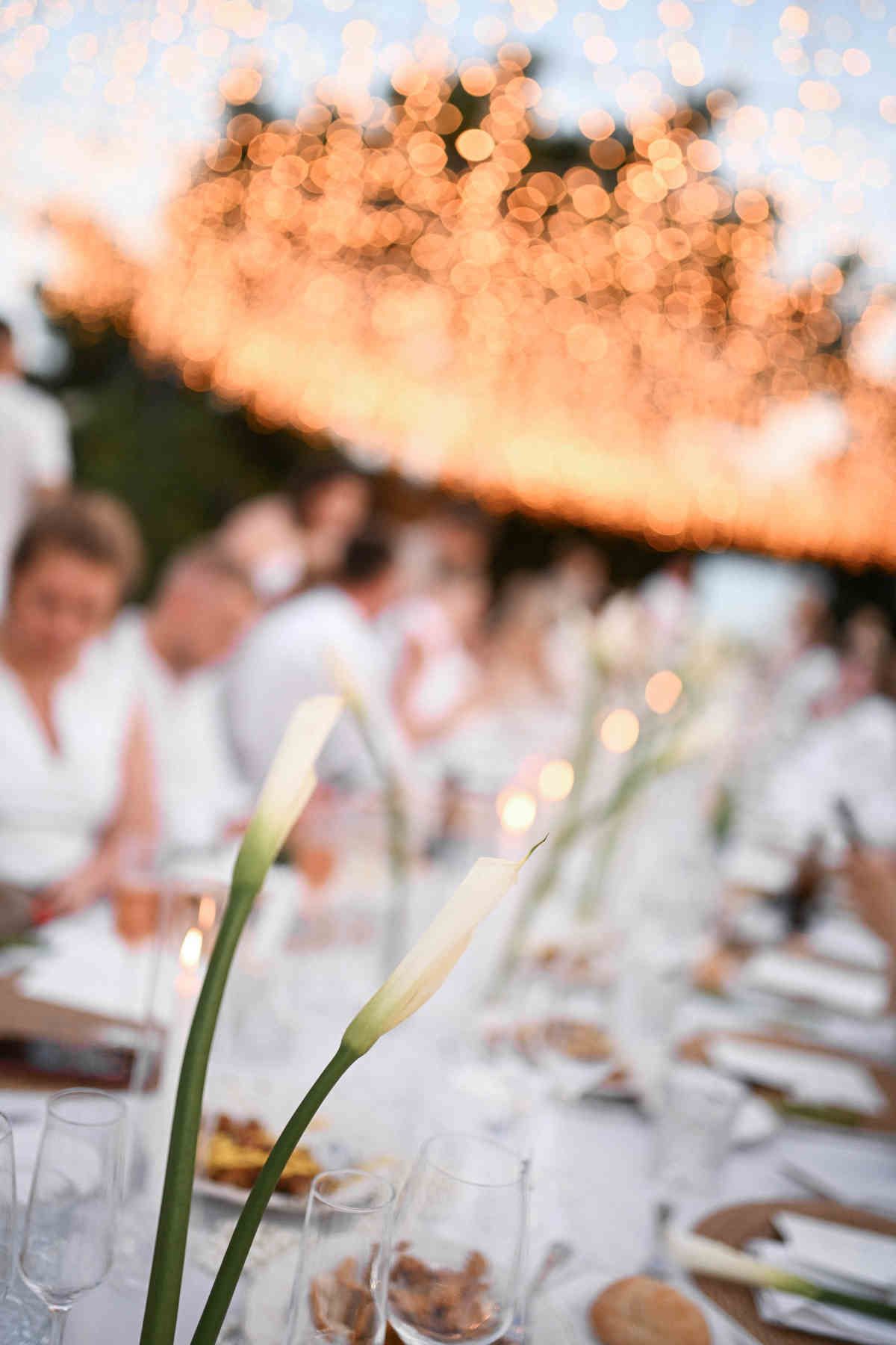 Elegant white calla lilies on a wedding table with a beautiful warm bokeh of fairy lights in the background.