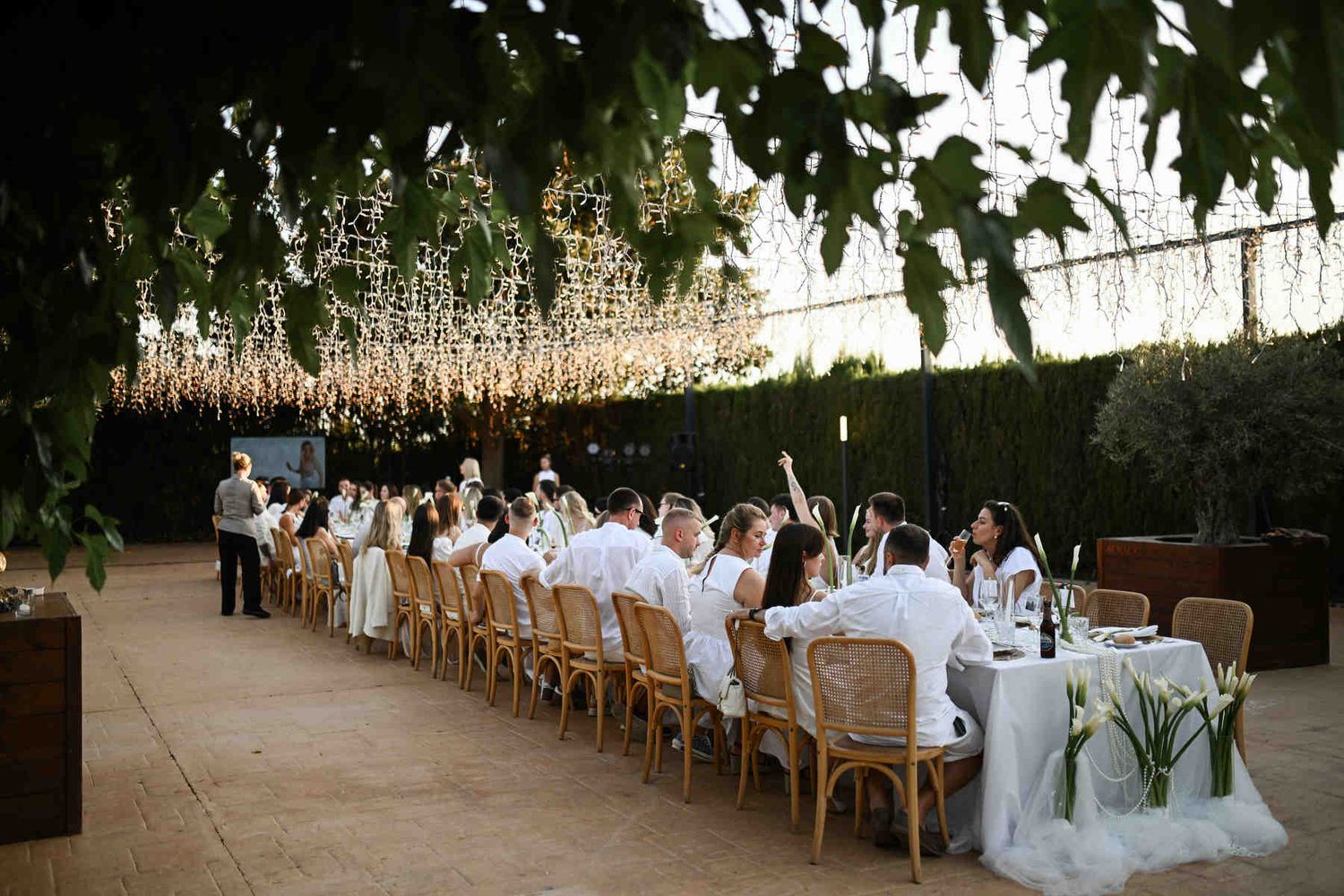 Wedding guests dressed in white sitting at a long dinner table under bright fairy lights in Spain.