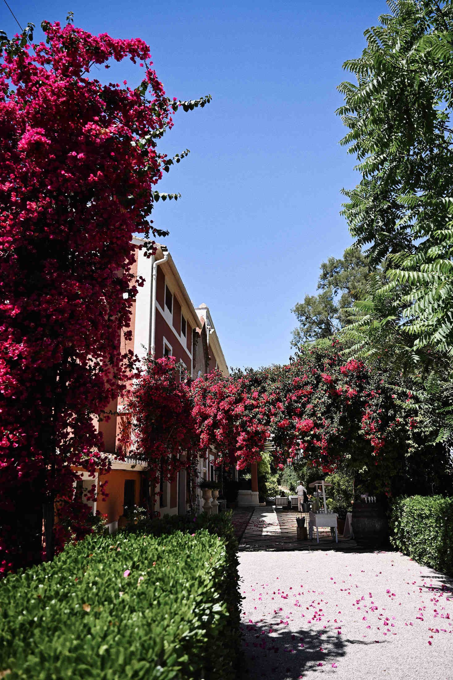 Facade of Villa Dela wedding venue in Valencia decorated with blooming pink bougainvillea, ideal for destination weddings.