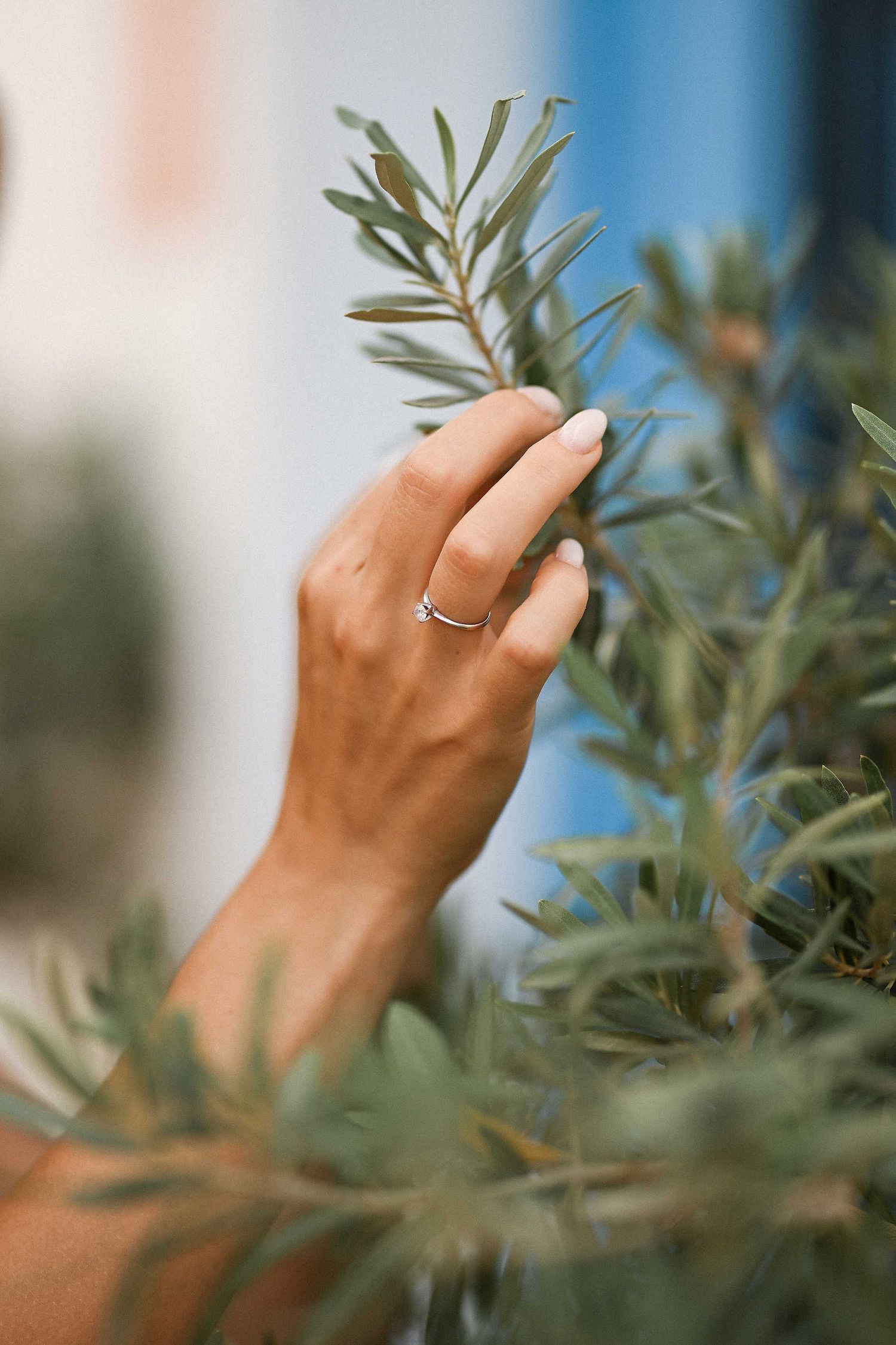 Close-up of an engagement ring with an olive tree in the background. Symbolic pre-wedding detail shot in Altea