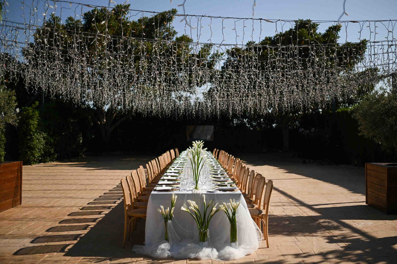 Symmetric view of a long outdoor reception table decorated with white calla lilies under thousands of fairy lights.