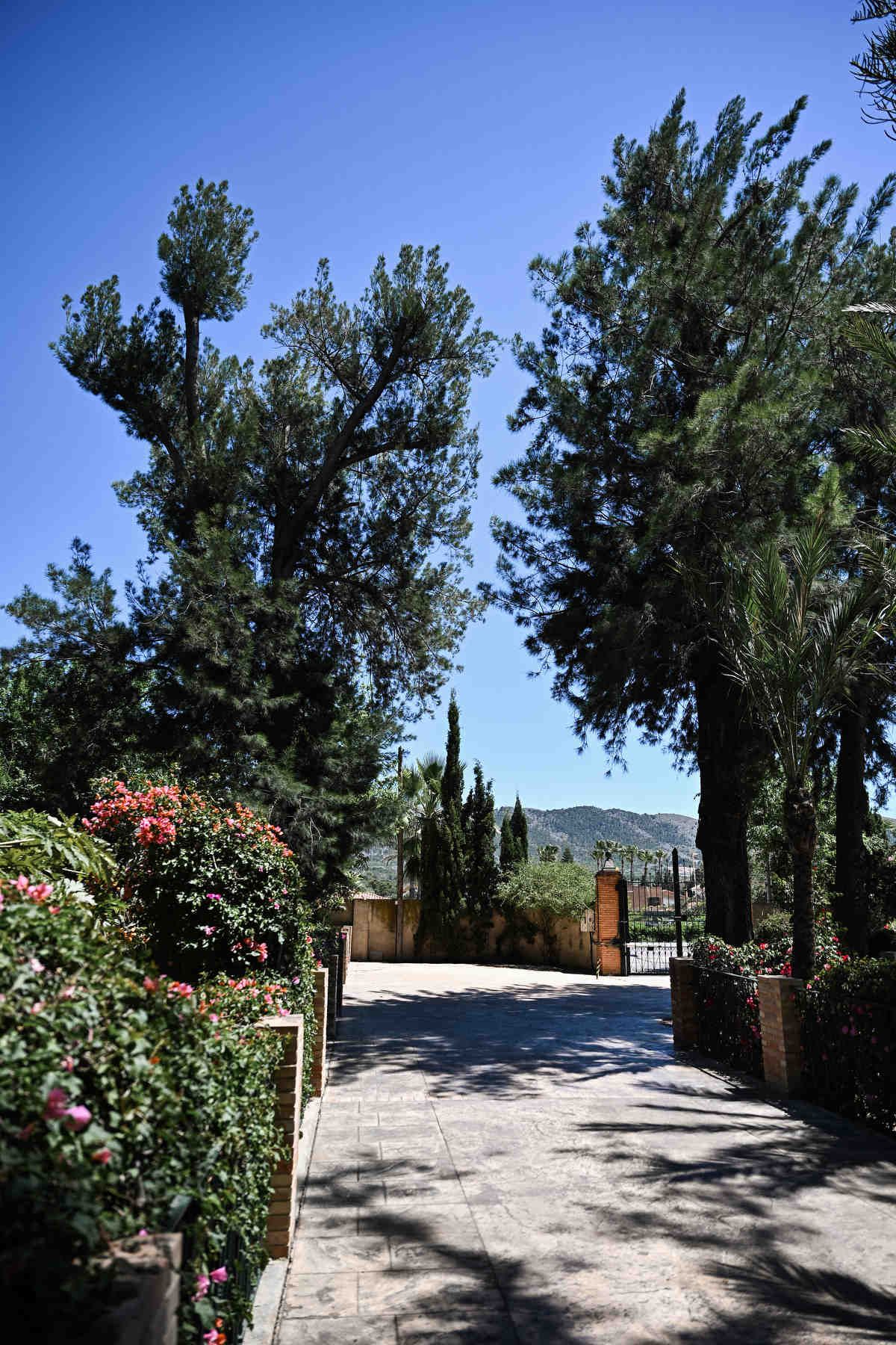 Paved driveway leading into an outdoor event estate, flanked by pink flower bushes and tall trees under bright sunlight.