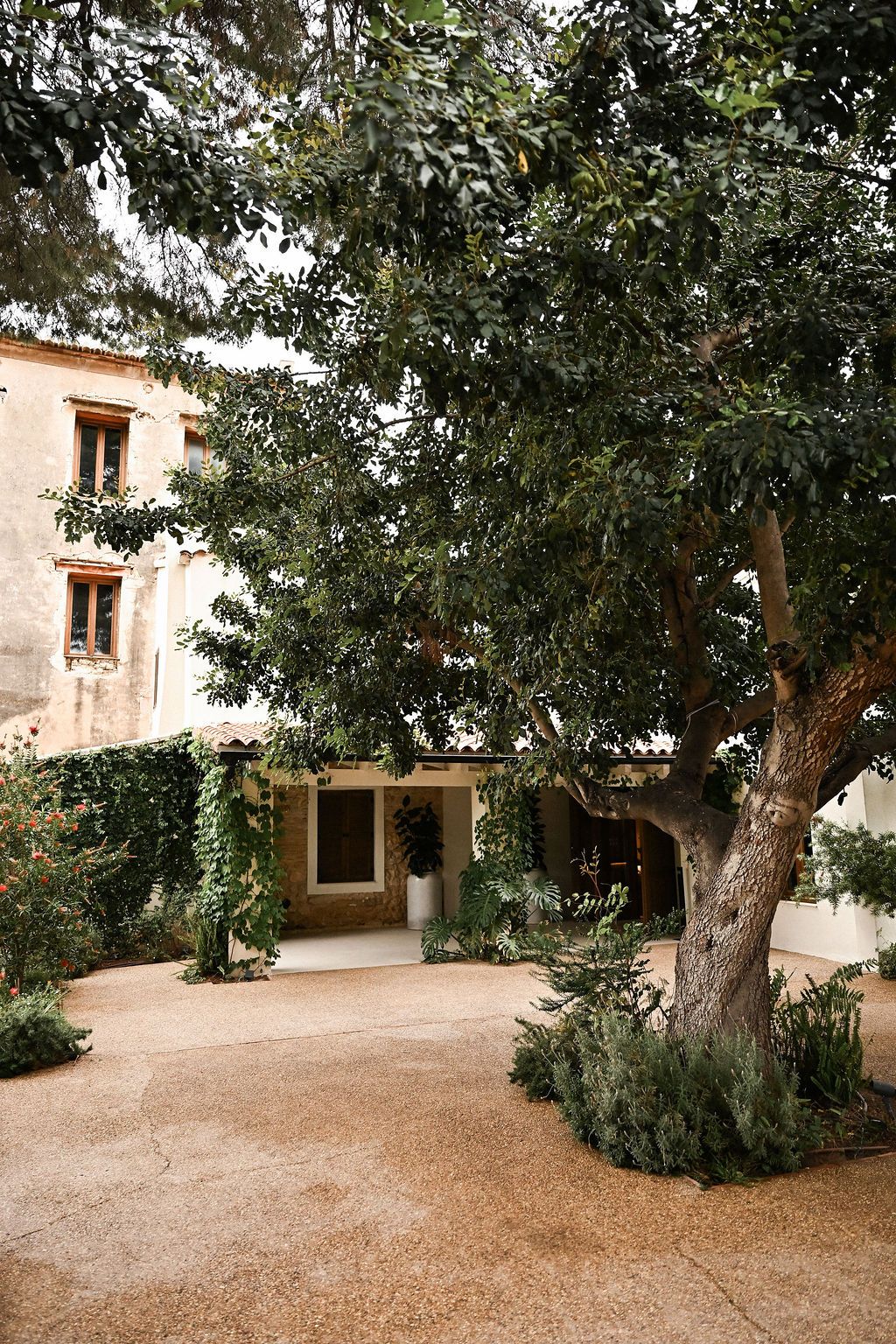 he ancient stone facade and vibrant ivy-covered courtyard of Finca del Canónigo, a premium destination wedding venue in Valencia.