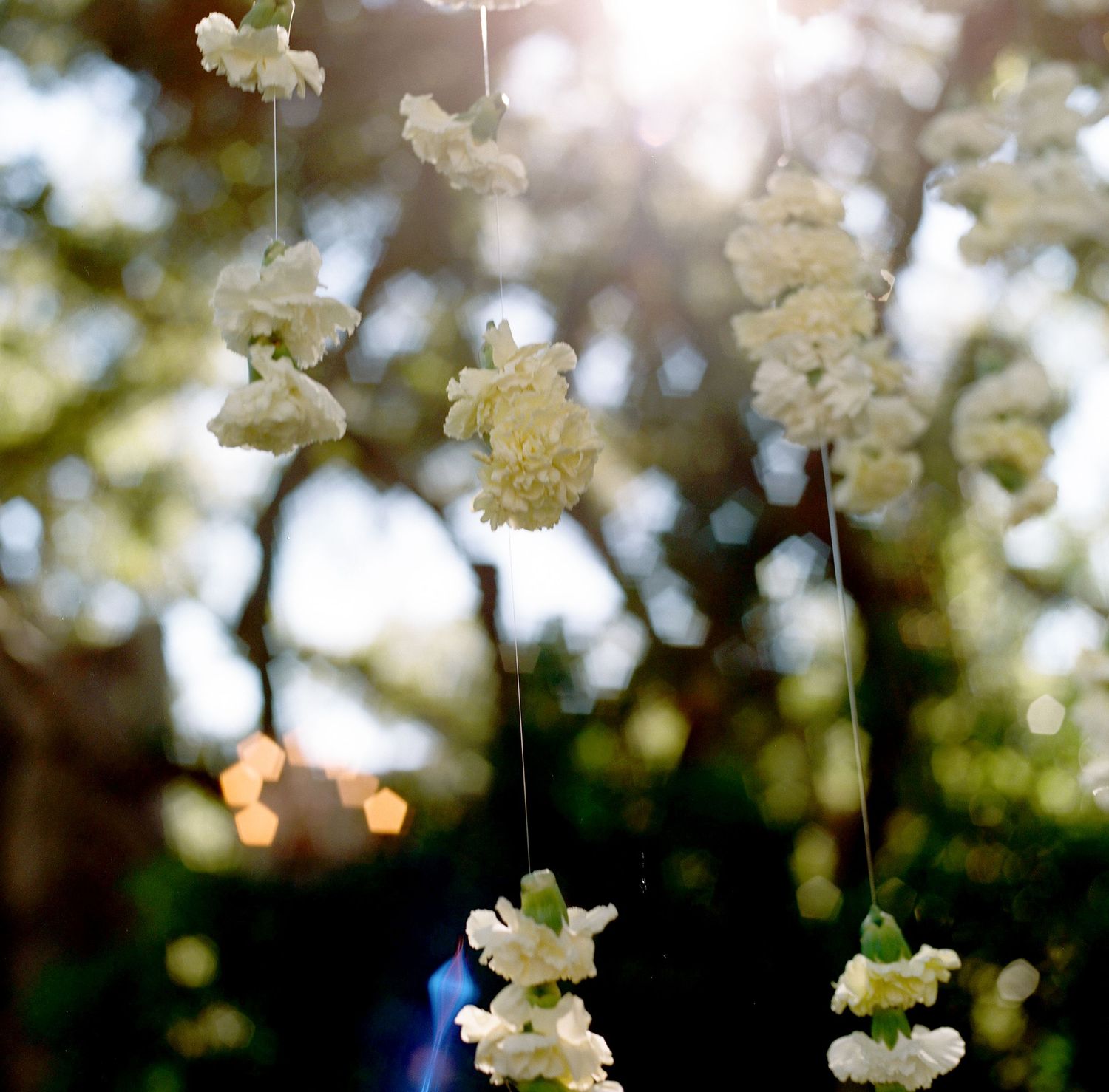 Cascading white flower garlands hanging against a sunlit natural backdrop.