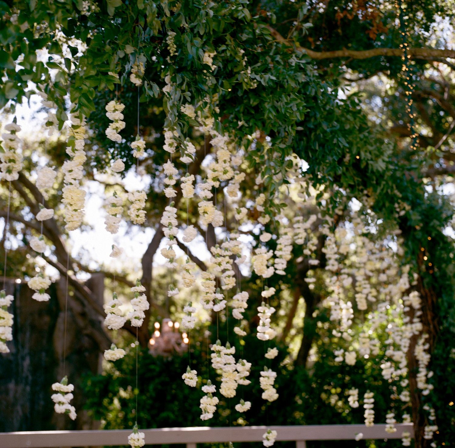White floral arrangements hanging from tree branches create a romantic canopy.