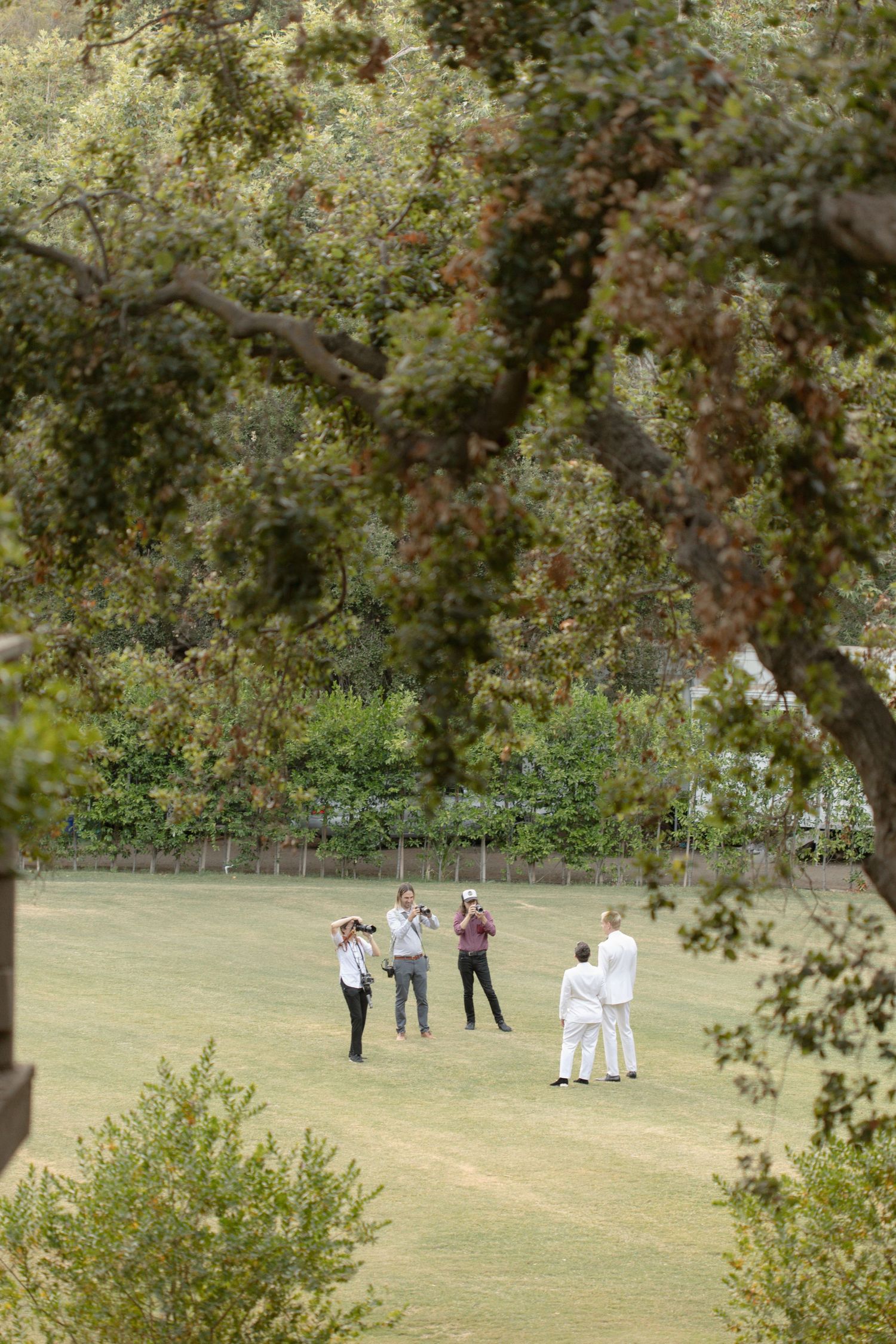 Distant view of wedding guests gathered on a grassy field under trees.