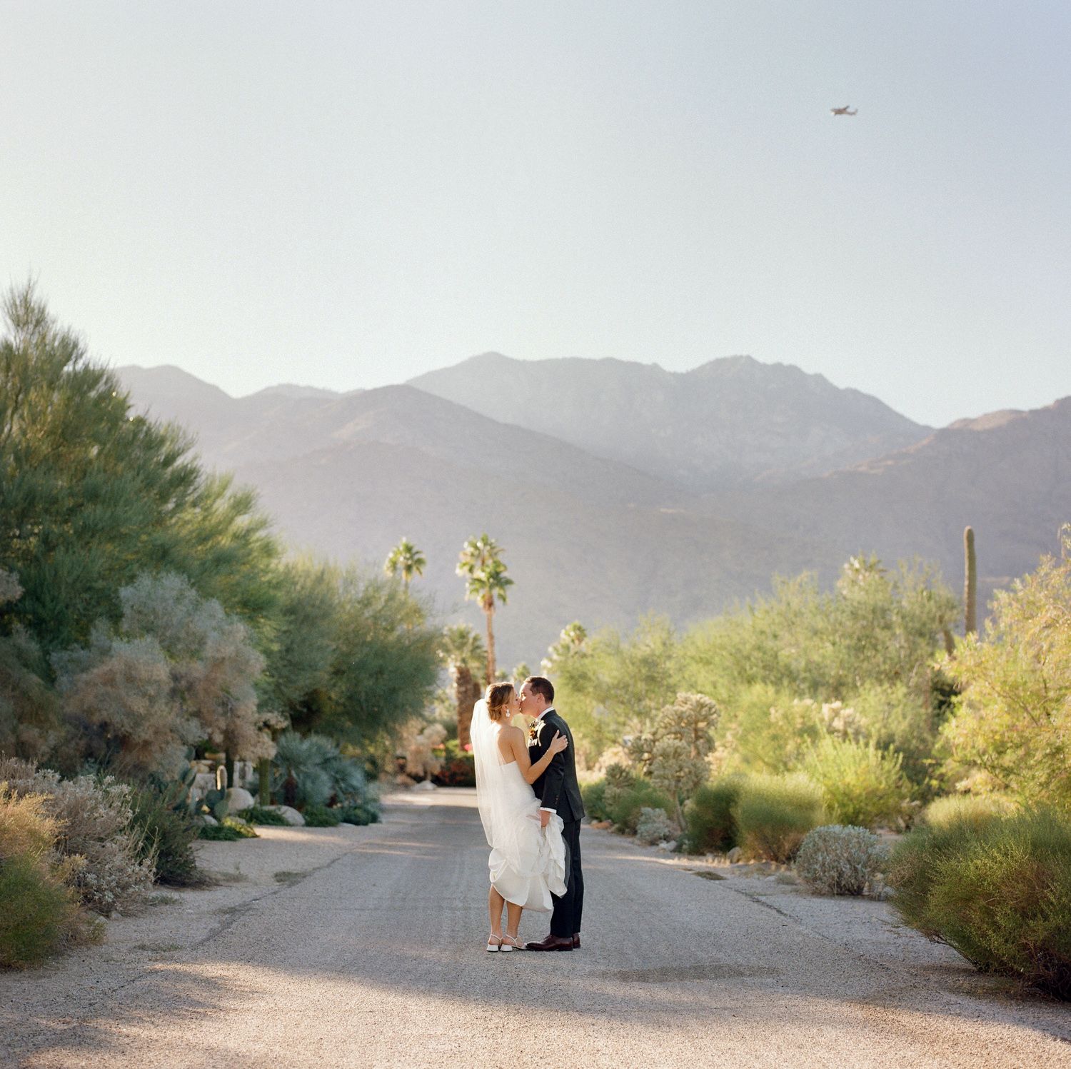 Desert landscape wedding portraits with mountains and cacti in background.