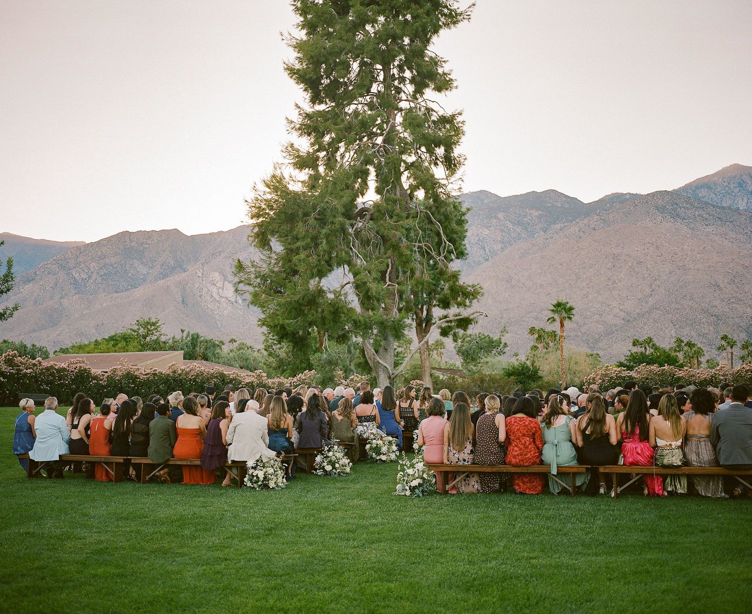 Wedding guests seated on wooden benches under tall trees with mountains in the background.