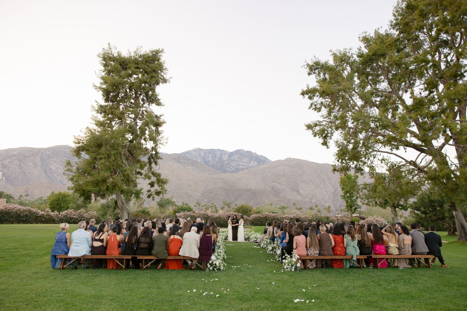 Large group photo of wedding guests gathered under a tree with mountains in the background.