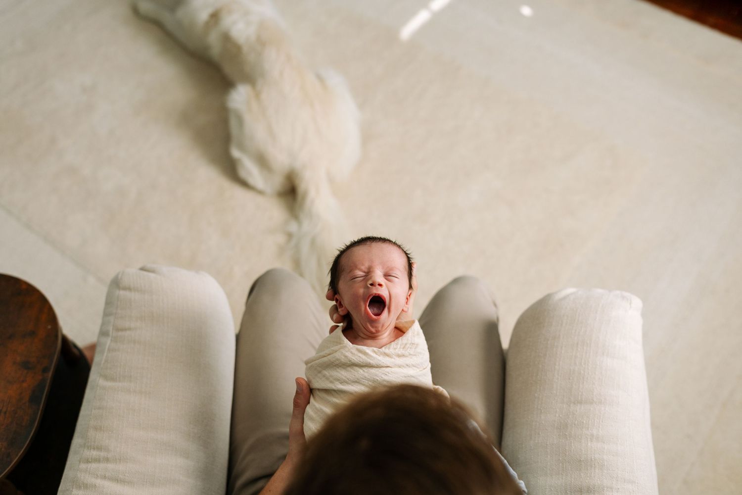 St. Louis lifestyle newborn photographer