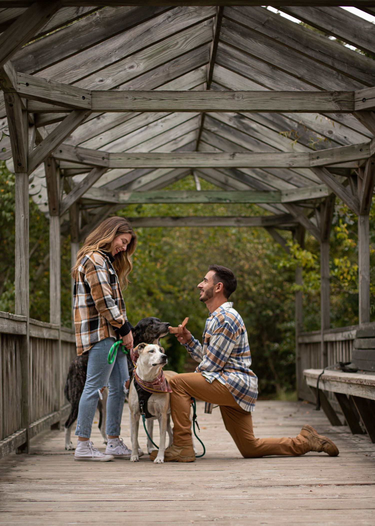 Couple in matching plaid shirts with two dogs on a wooden bridge gazebo during an outdoor engagement photo session.