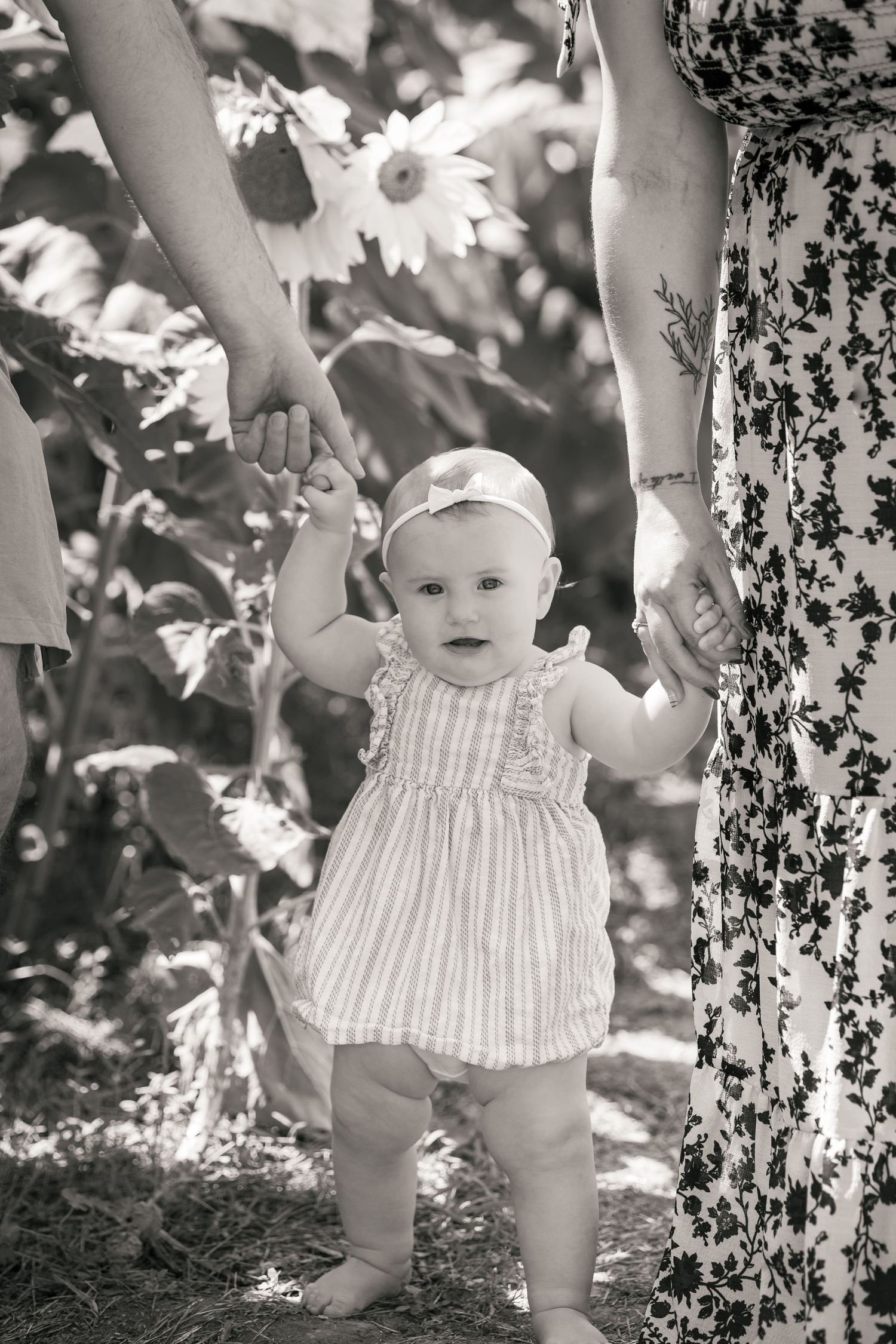 Black and white photo of a baby girl in a dress holding hands with two adults in a sunflower field.