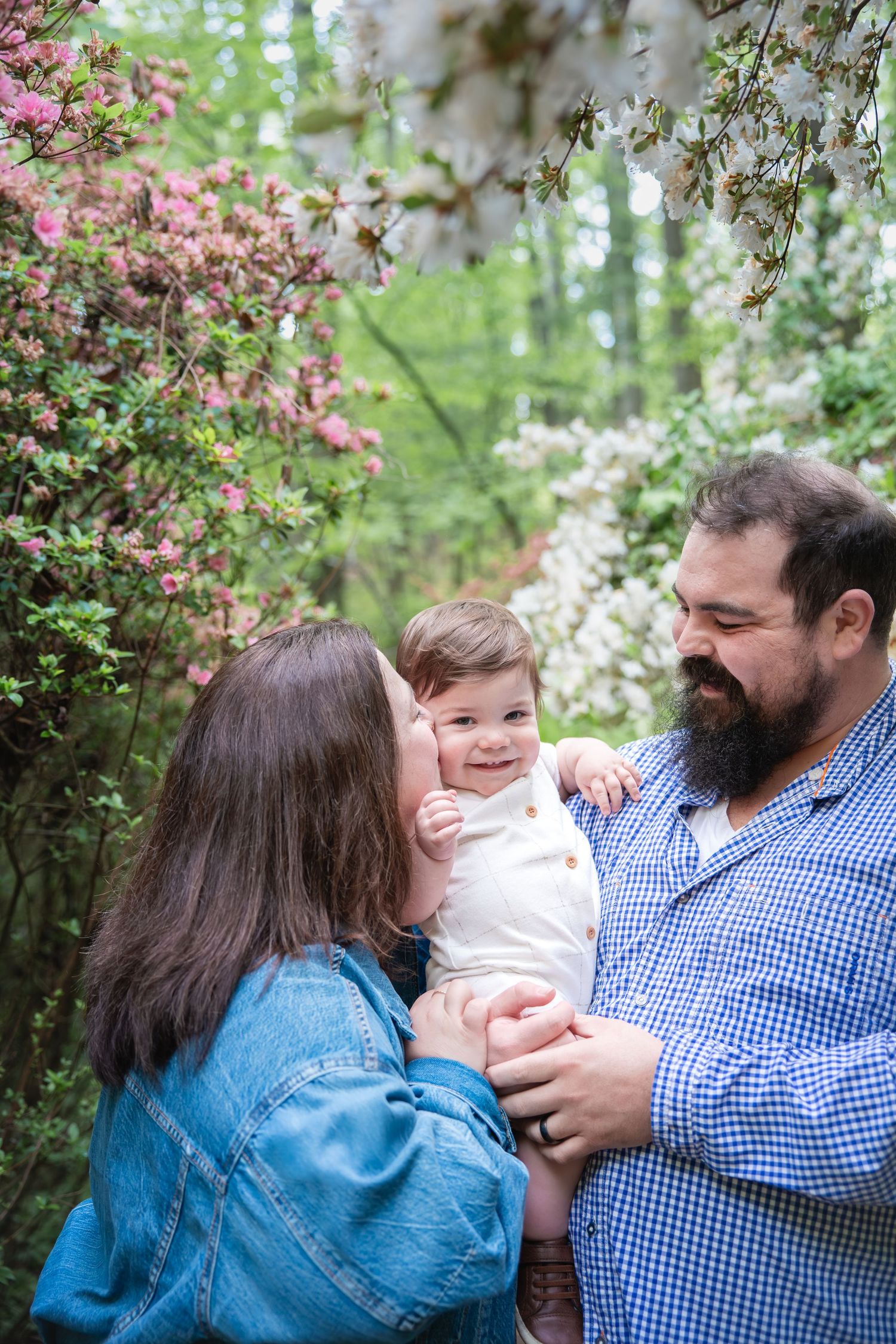 A family with a bearded dad, brunette mom kissing baby's cheek, surrounded by pink and white spring blossoms.