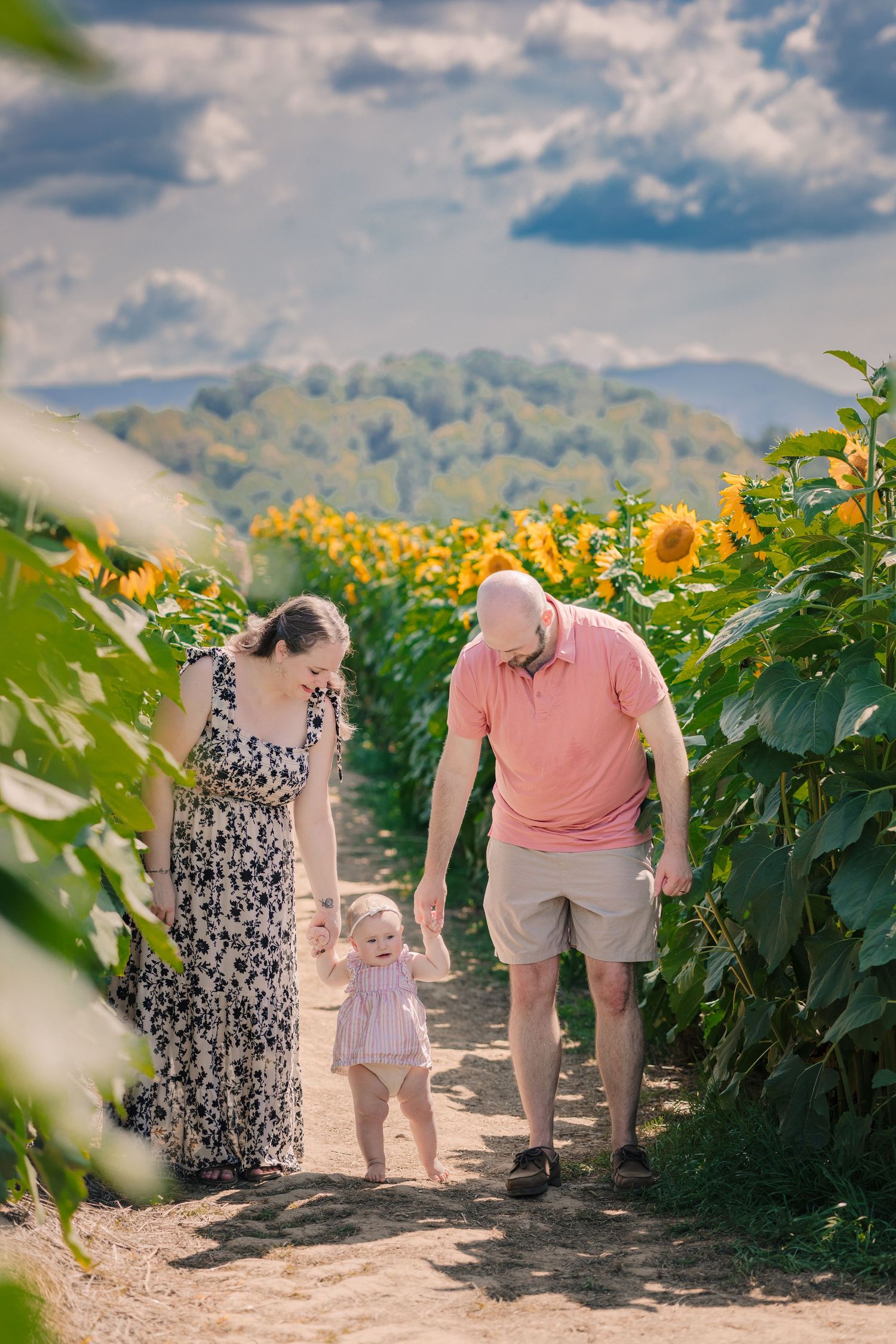 Young family walking through sunflower field path, parents guiding toddler on sunny day.