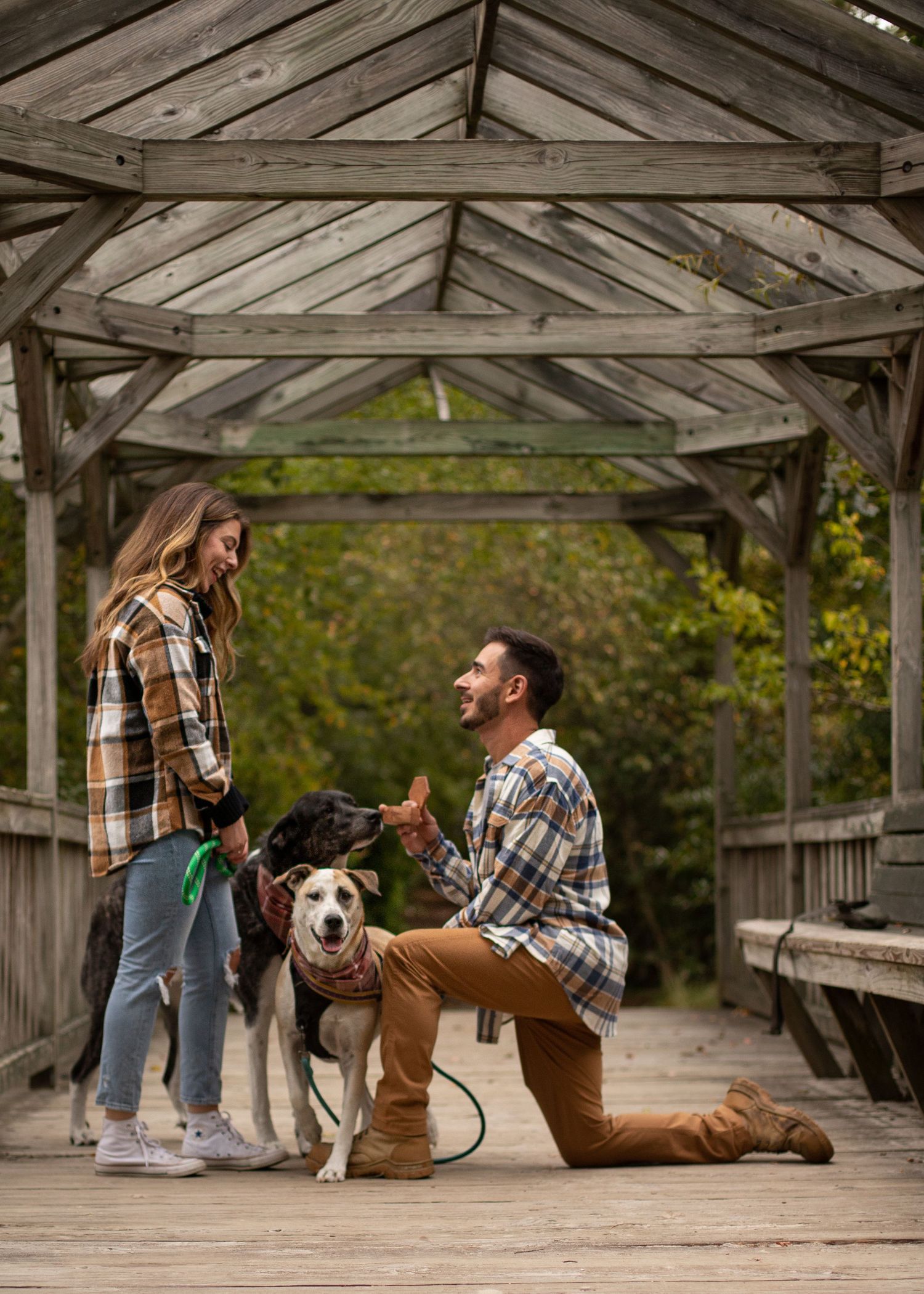 Couple in matching flannel shirts with two dogs under a wooden gazebo in a park, man kneeling during a proposal.
