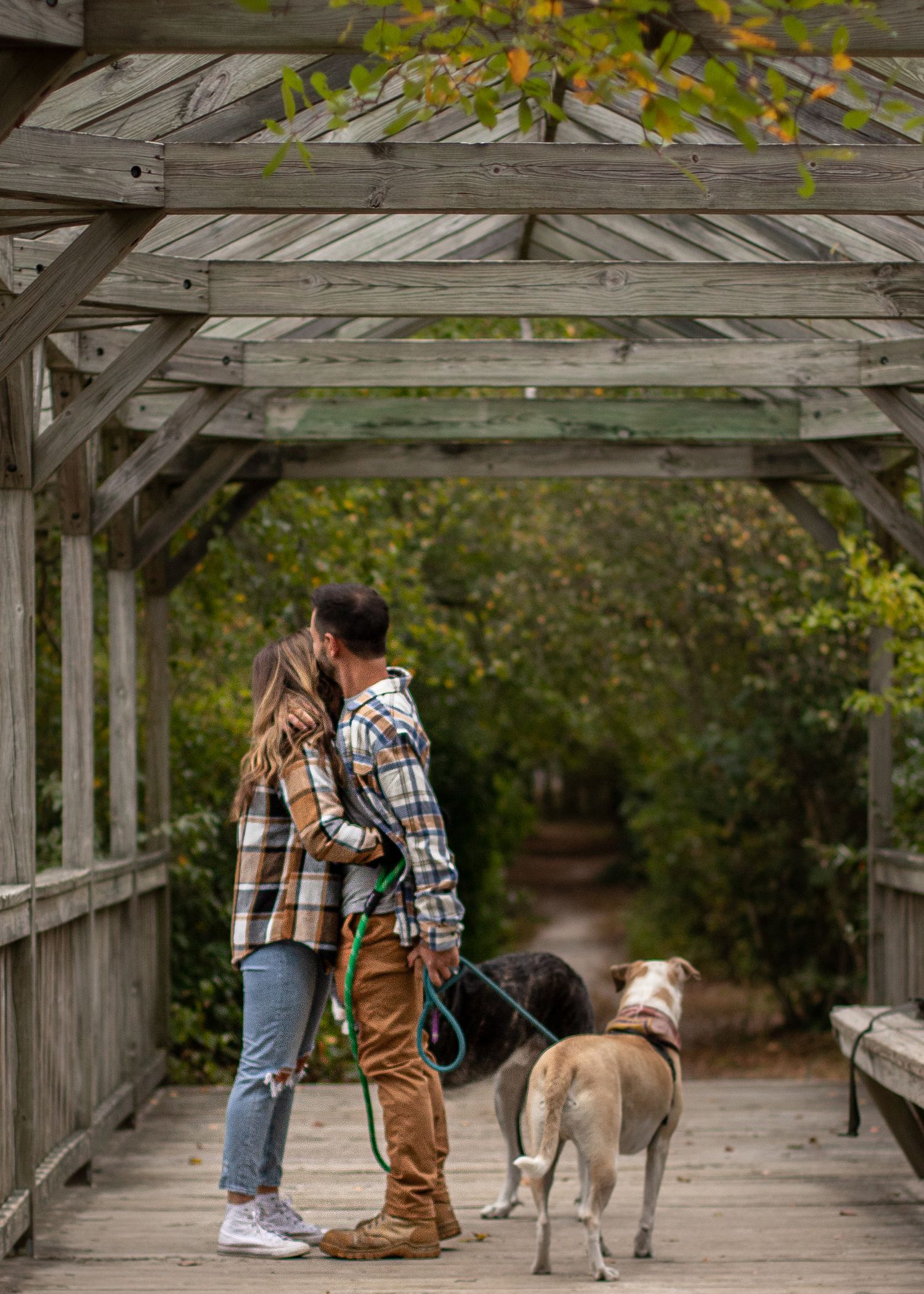 Couple kissing on a wooden pergola bridge with two dogs on leashes, surrounded by lush green trees in a park.