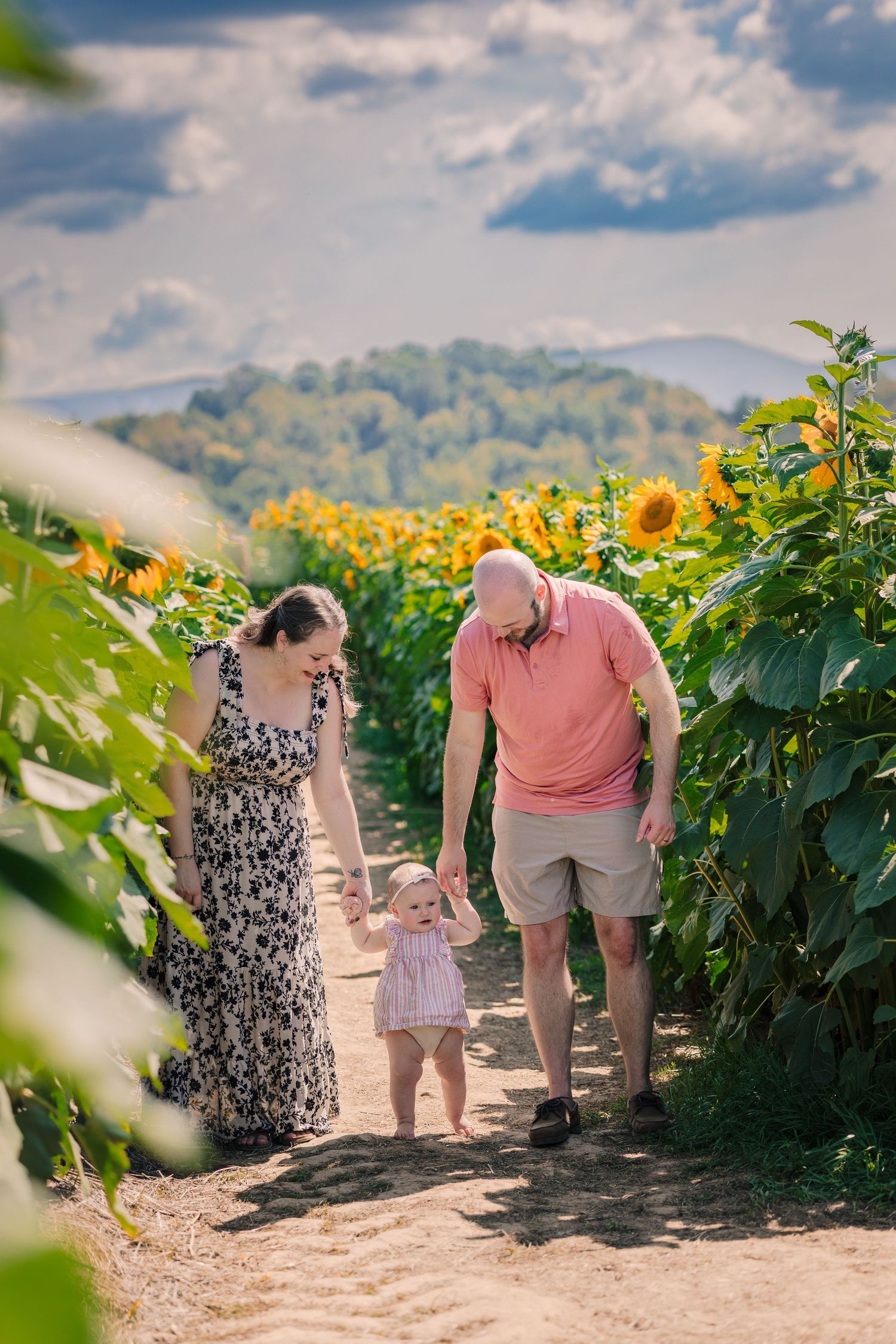 Family walking hand-in-hand with toddler through sunny sunflower field, mountains in background on a partly cloudy day. Botetourt county, VA