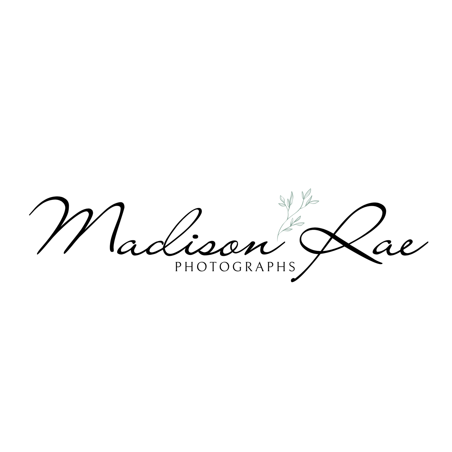 Elegant Madison Rae Photographs logo featuring cursive script typography with delicate botanical branch accent in sage green.