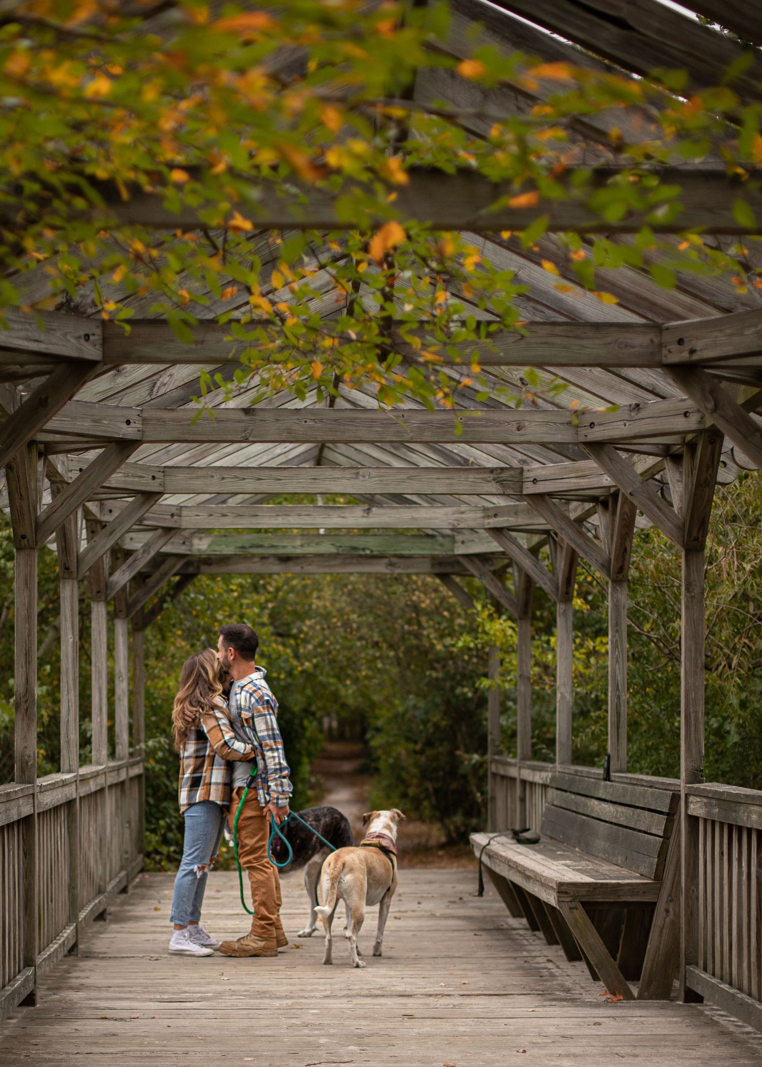 Couple kissing on a wooden pergola bridge in autumn, with their dog on a leash beside them.