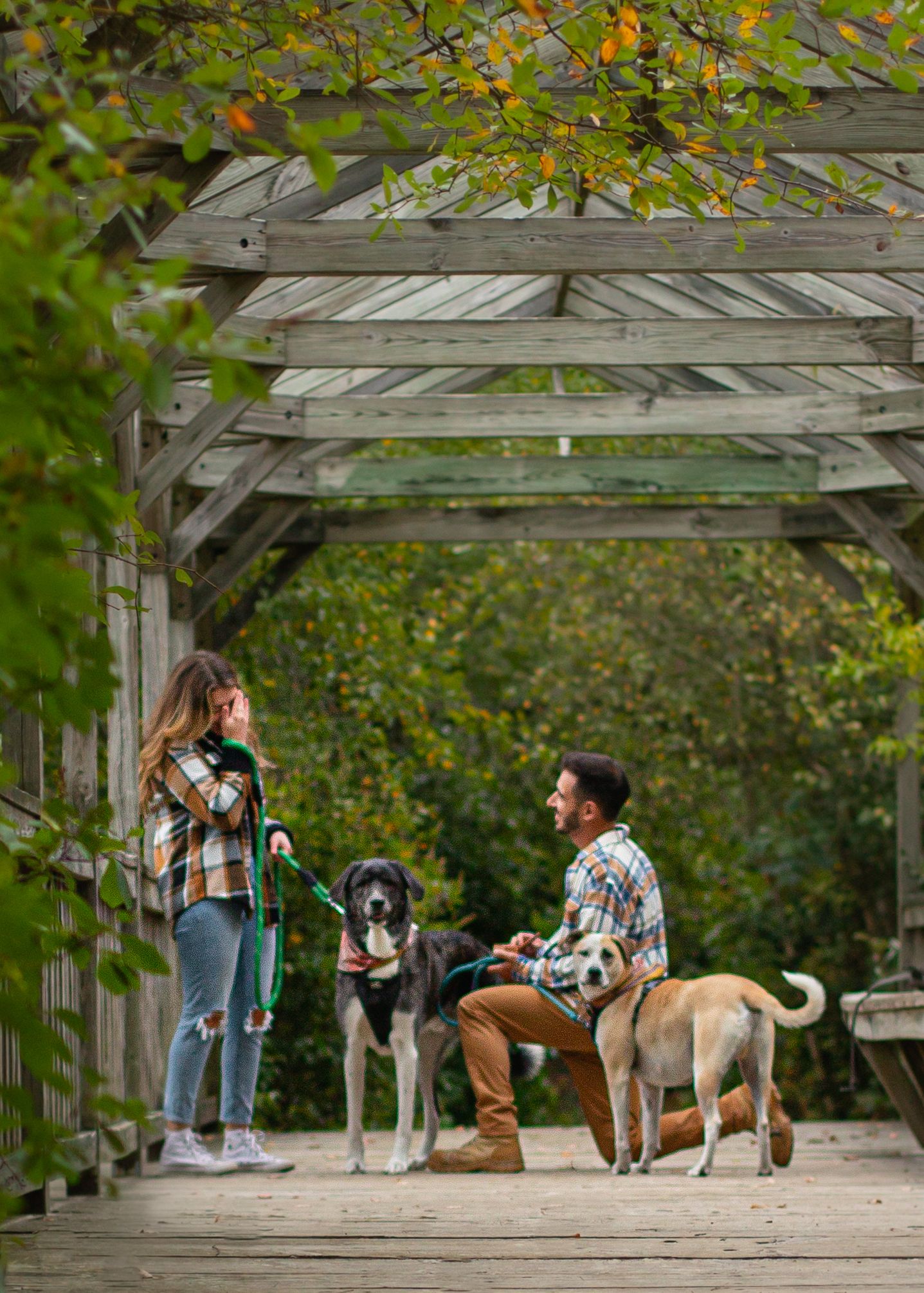 Couple with two dogs on a wooden pergola walkway surrounded by autumn foliage in a park setting.