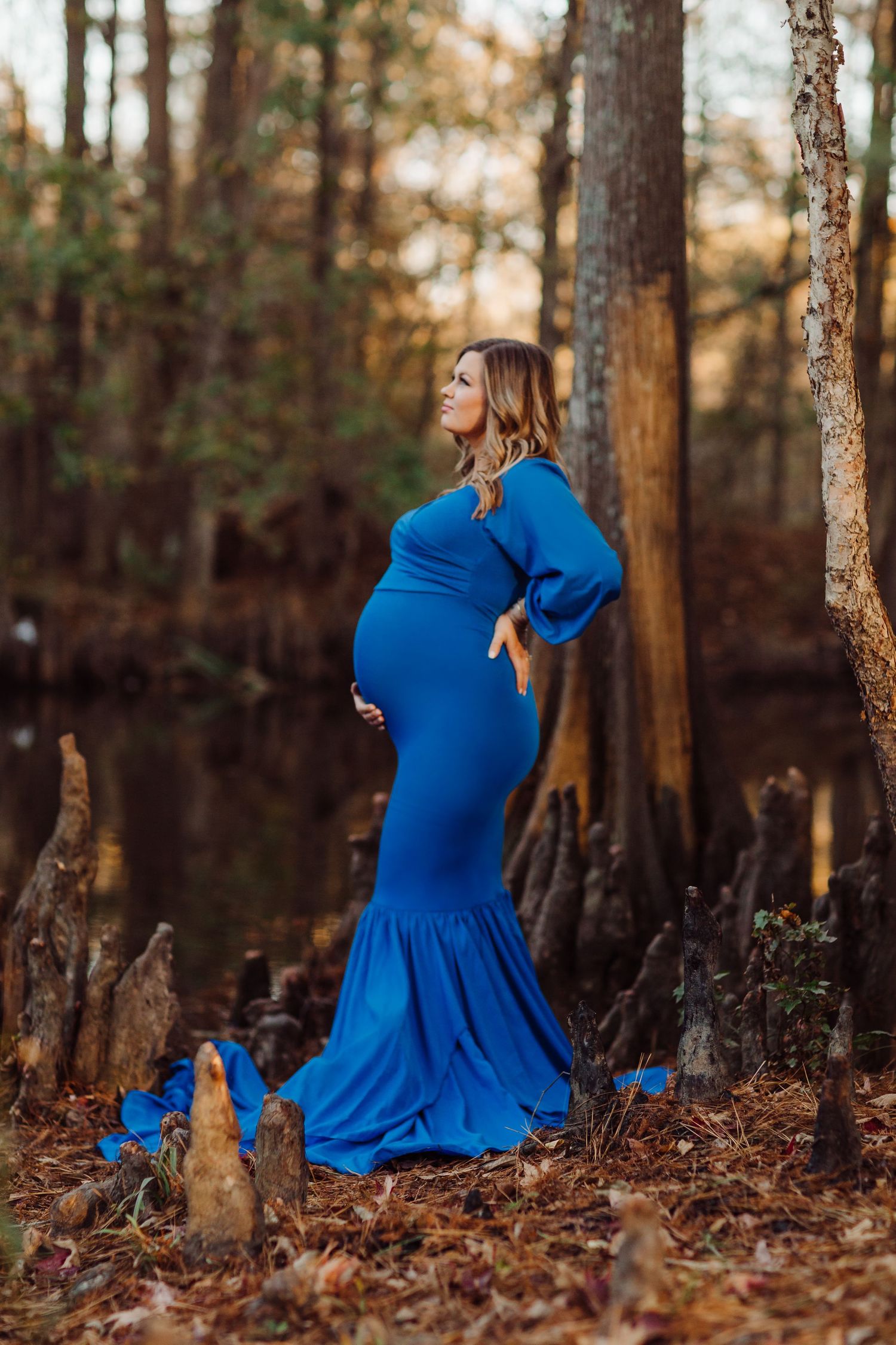 Maternity photo of someone in a flowing royal blue dress standing among cypress trees and autumn leaves near a swamp.