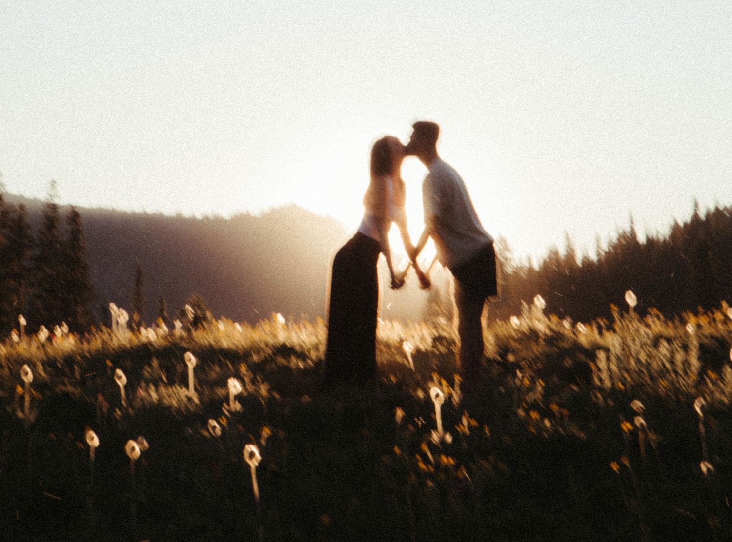 Silhouetted figures stand in a golden field of wildflowers at sunset with evergreen forest in the background.