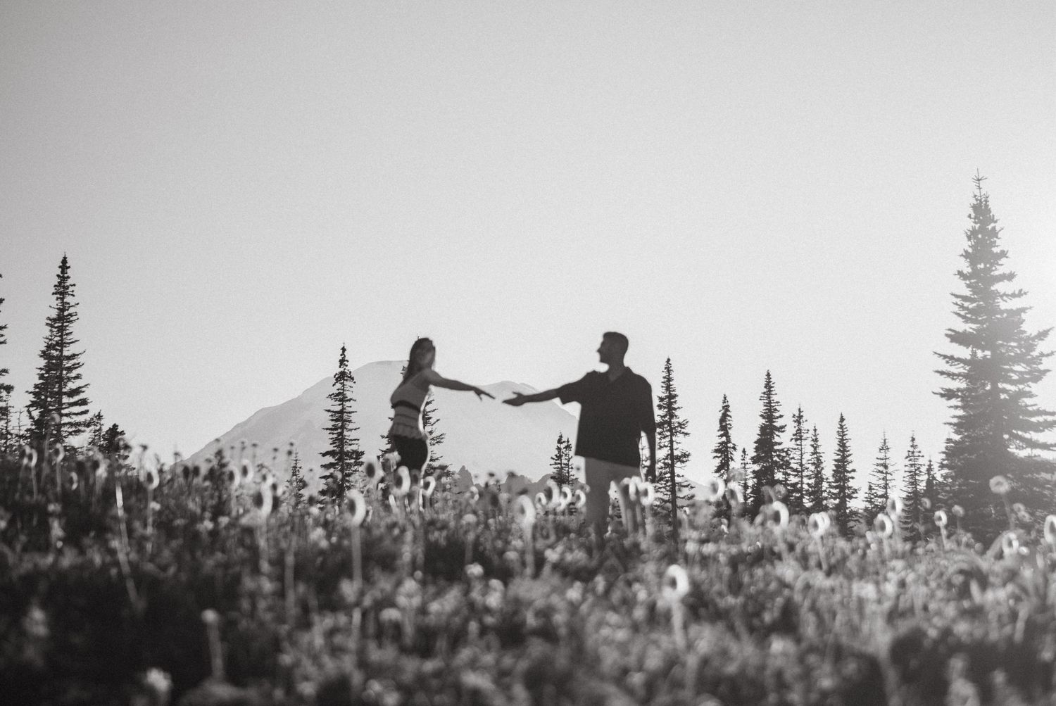 Silhouettes of people stand along a mountain ridge with evergreen trees against a cloudy sky backdrop.