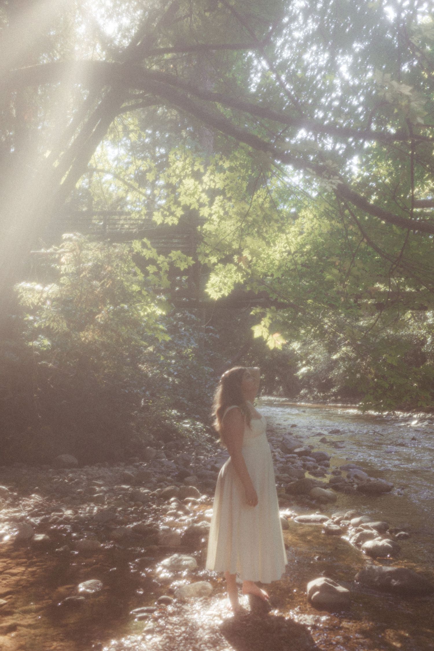 A figure in a white dress stands by a sunlit stream in the forest, surrounded by rocks and dappled light.