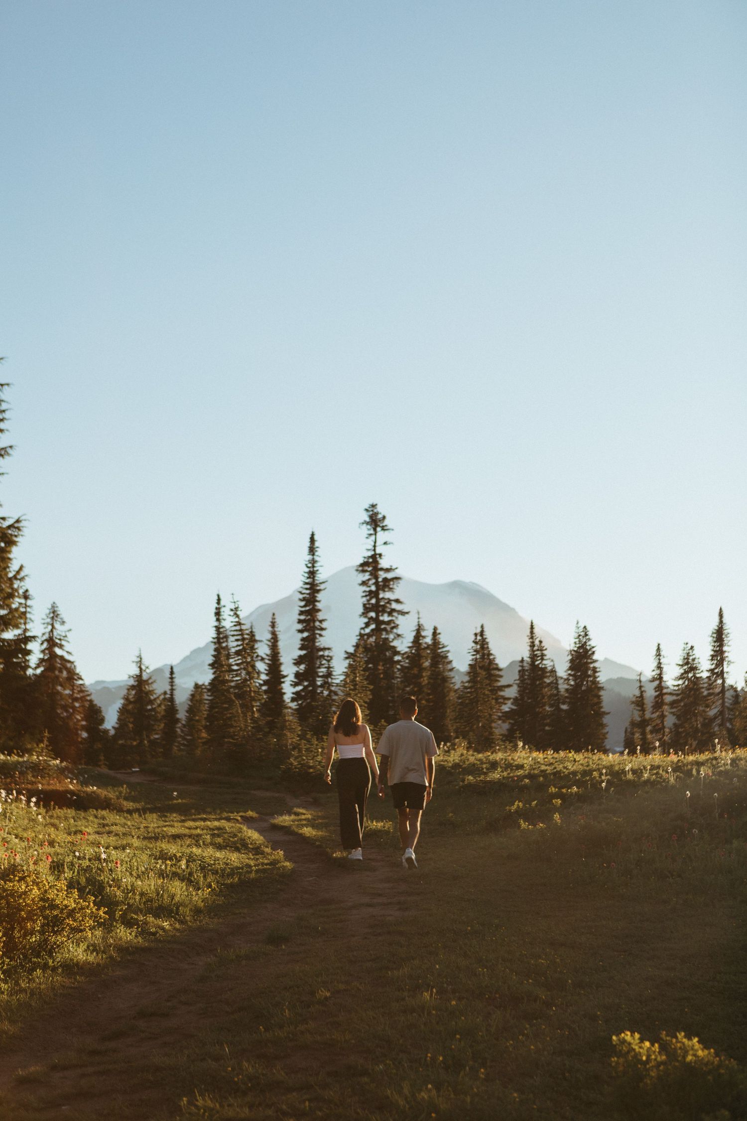 Hikers walking along a scenic mountain trail at sunset with evergreen trees silhouetted against the golden sky.